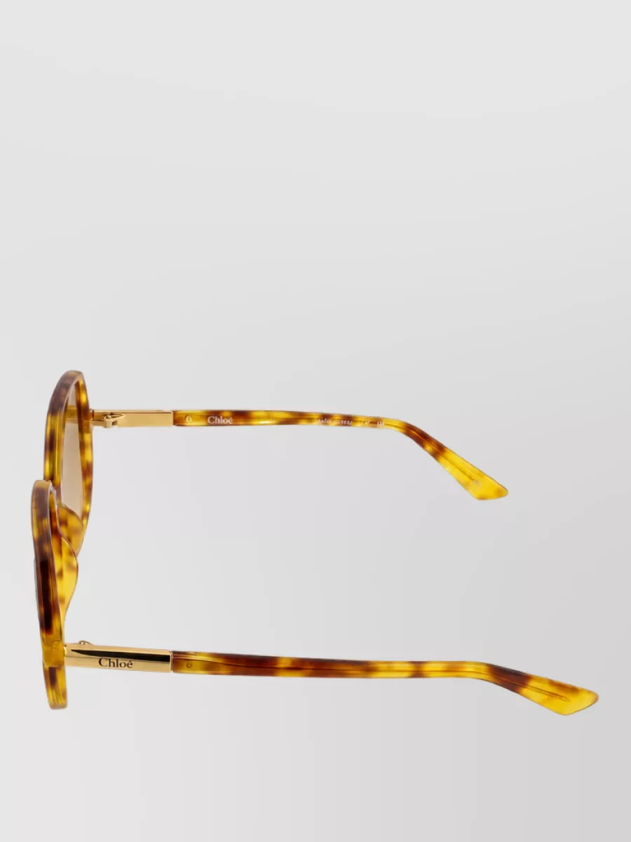 Chloé Acetate Sunglasses