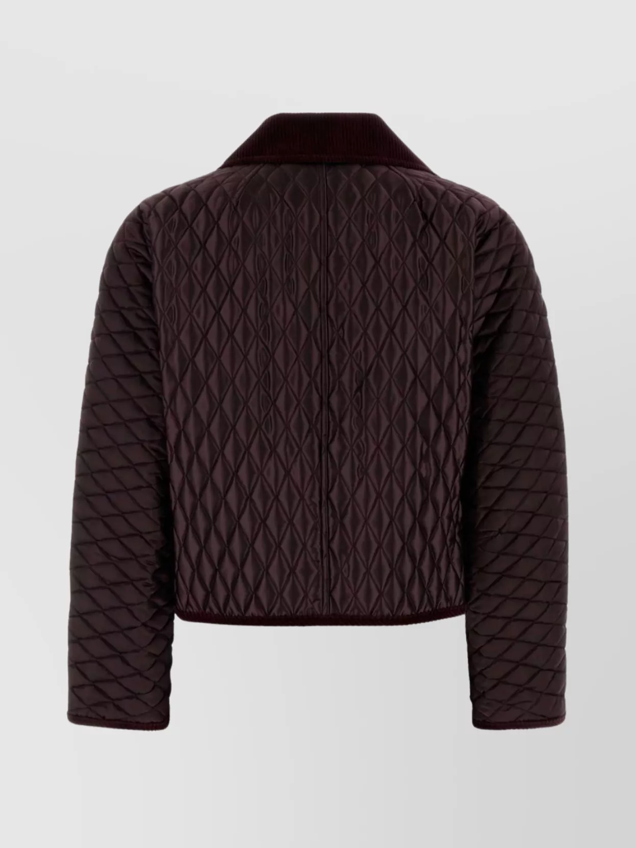 Burberry Nylon Jacket With Collared Neck And Pockets In Brown