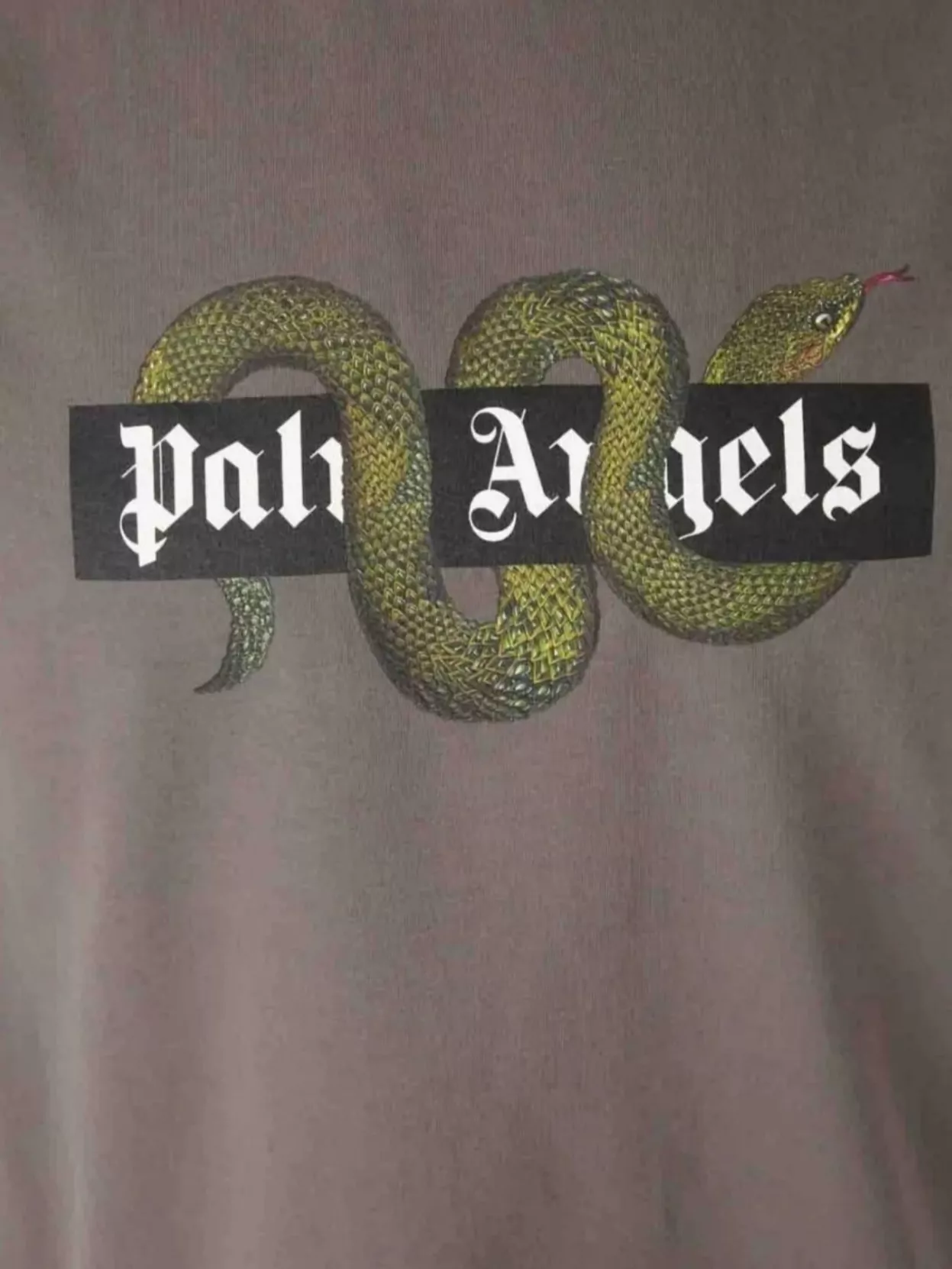 Palm Angels Snake Box Logo Regular Fit T-Shirt