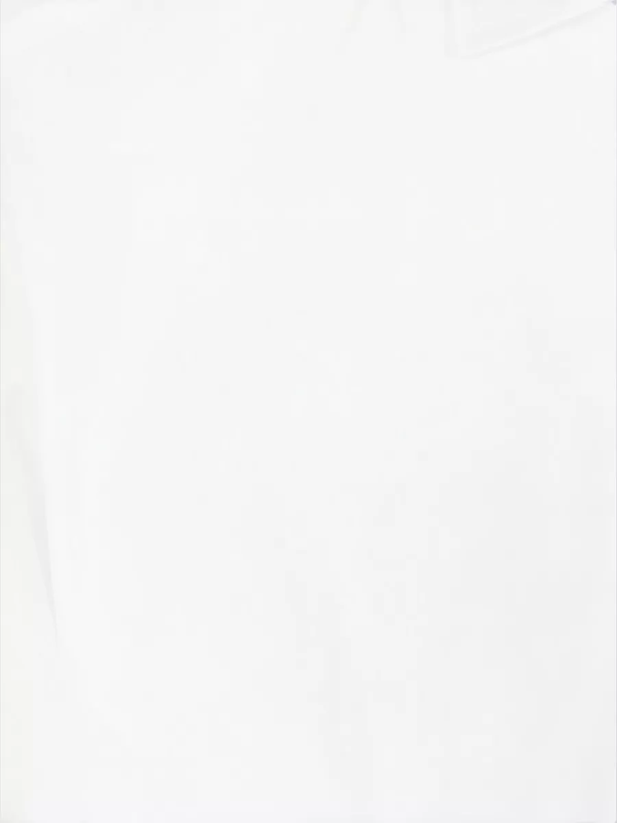 Barba Napoli Cotton Blend Regular Fit Shirt
