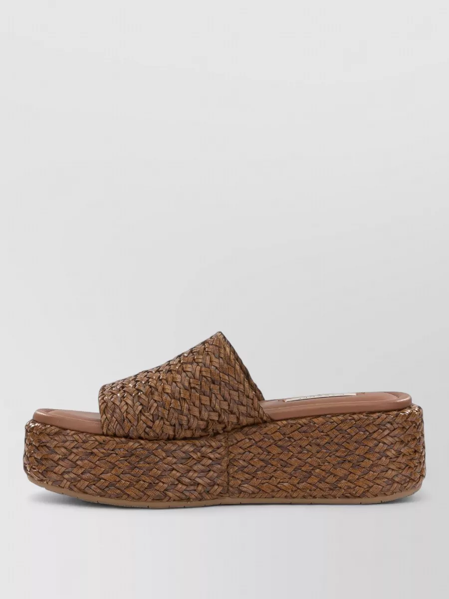 Casadei Slides