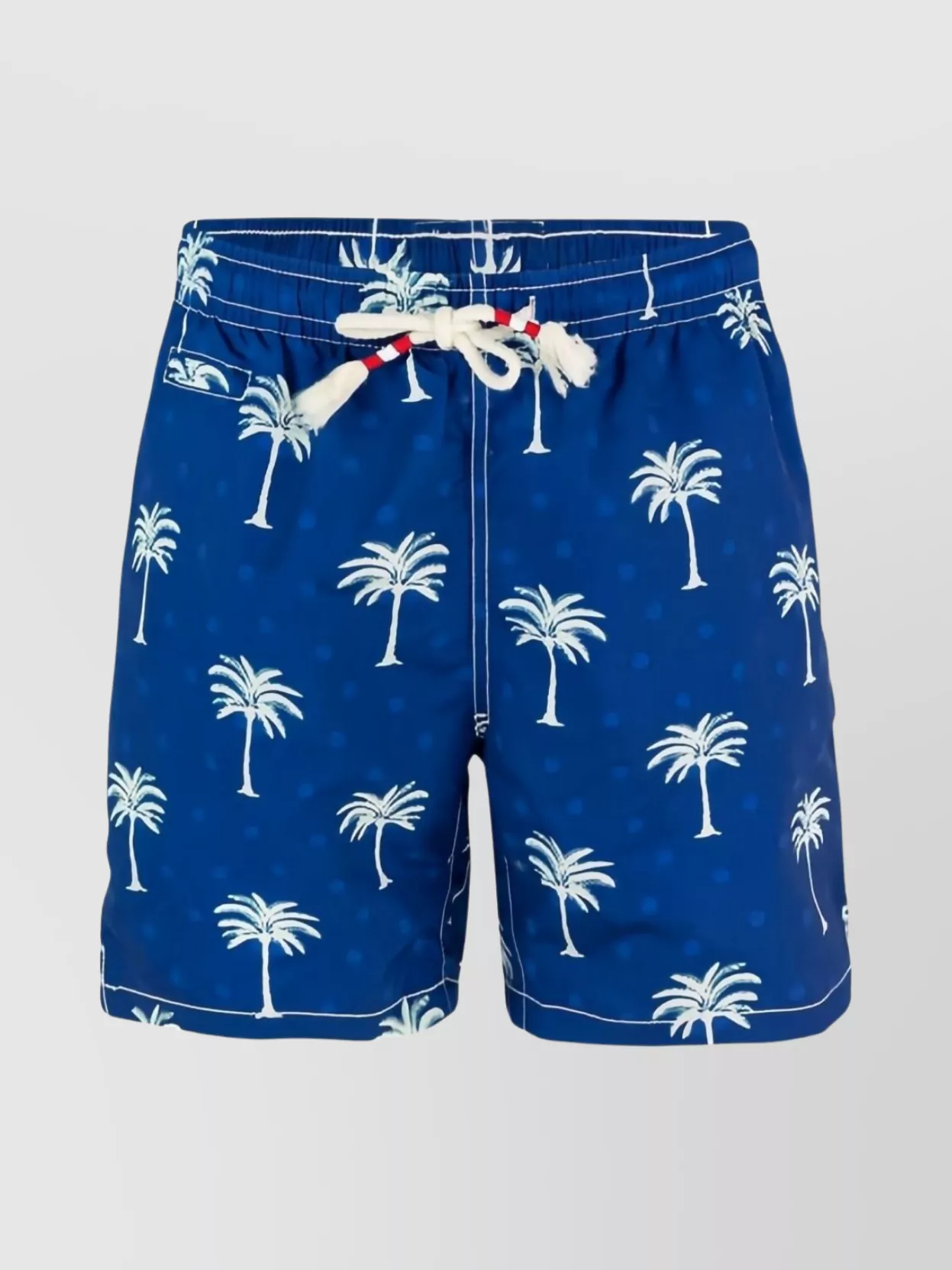Mc2 Saint Barth Palm Tree Print Swimsuit With Back Pocket In Blue