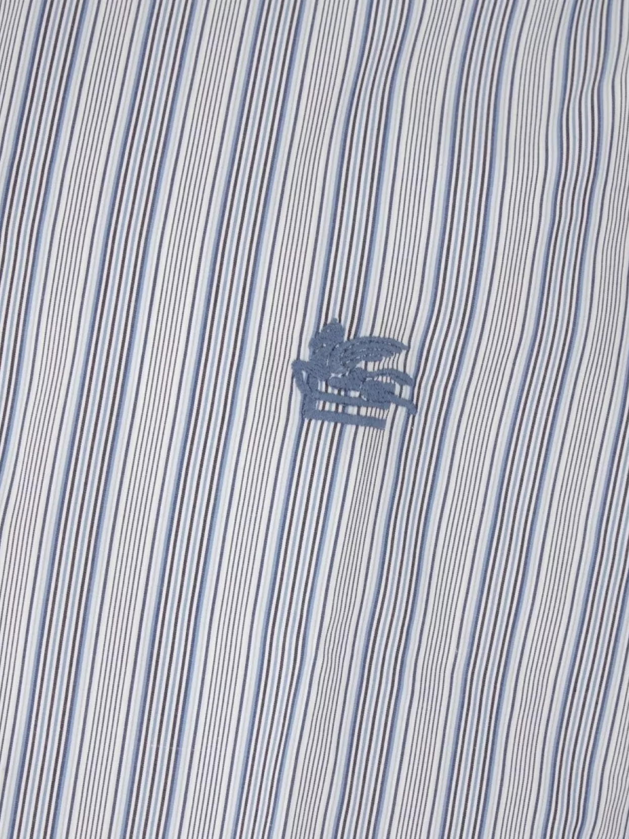 Etro Striped Cotton Poplin Shirt