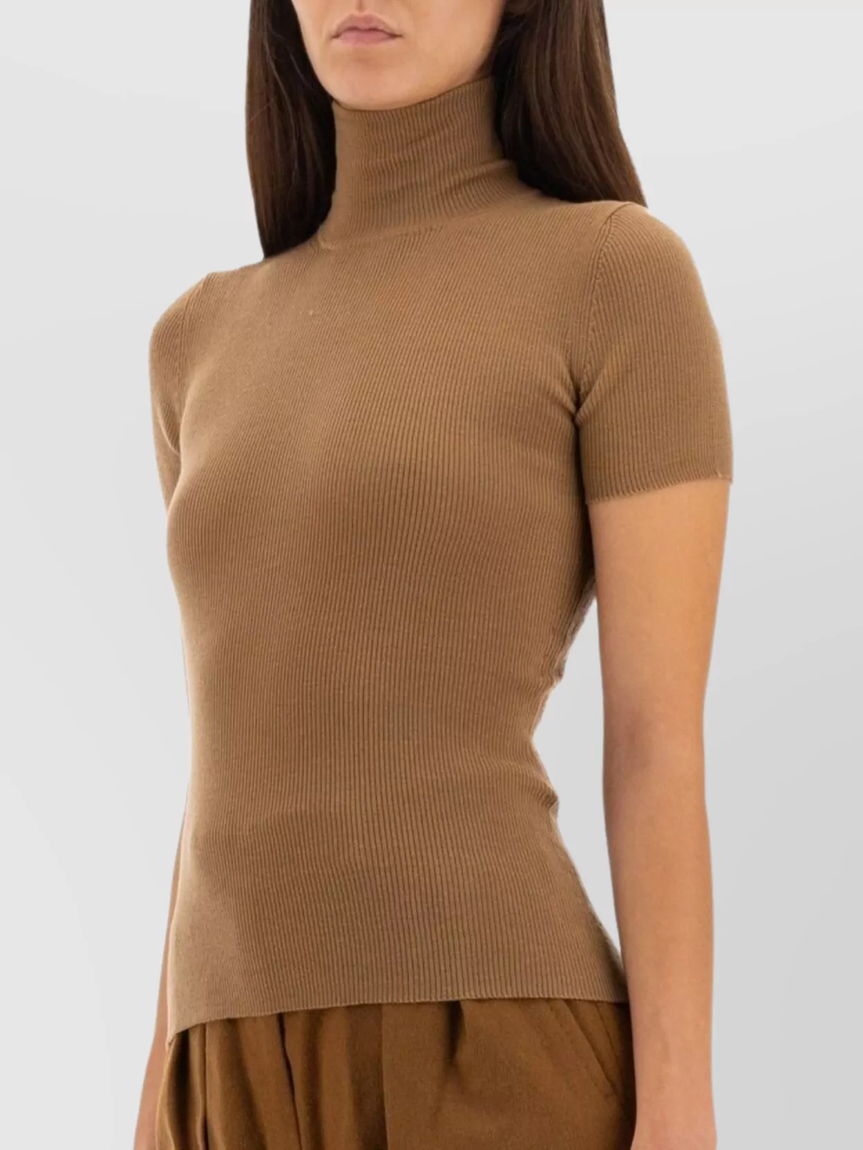 Max Mara Fitted Ribbed Turtleneck Short Sleeve Top