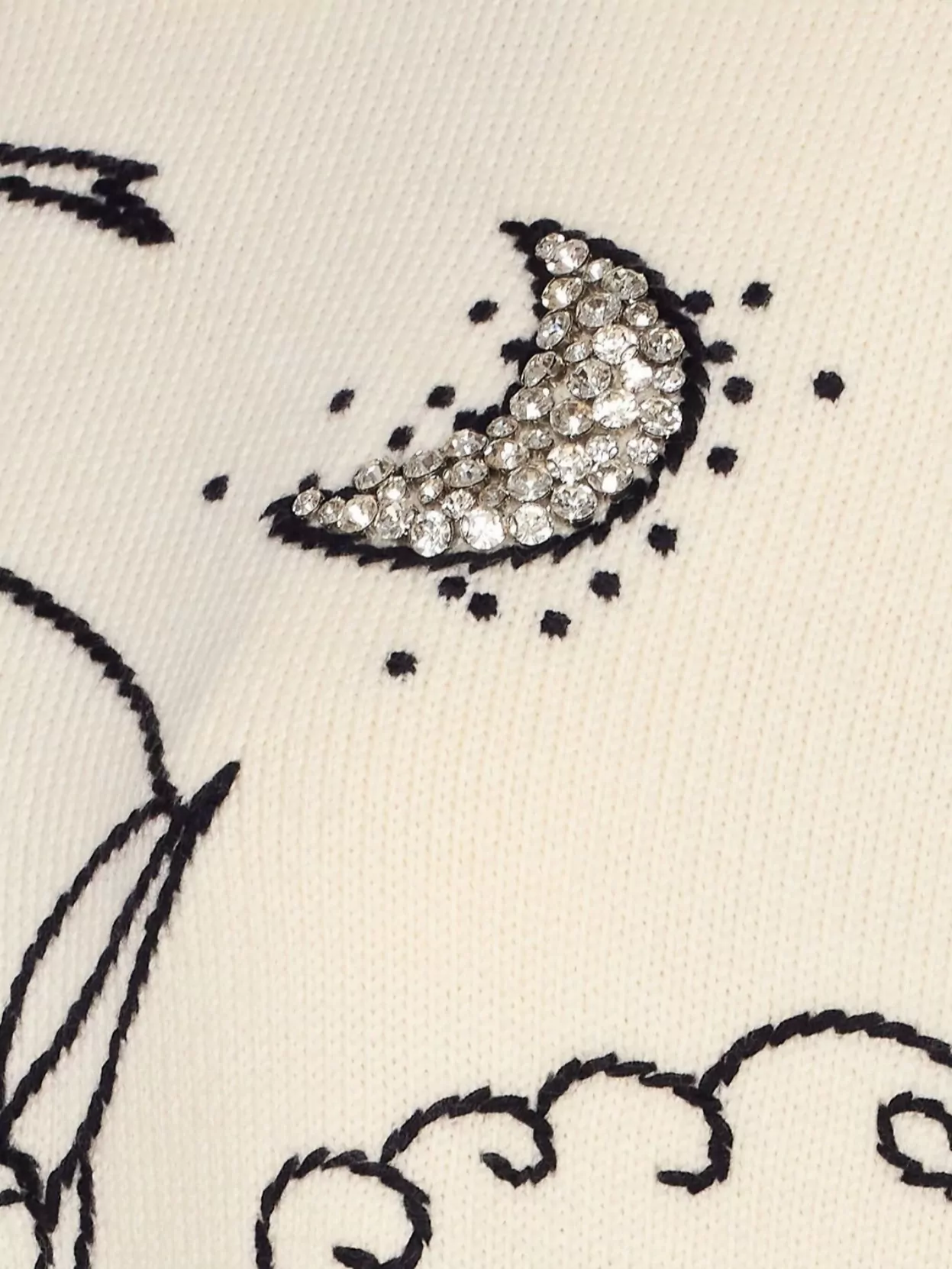 Pinko Embroidered Crew Neck Knitwear With Crystal Embellishments