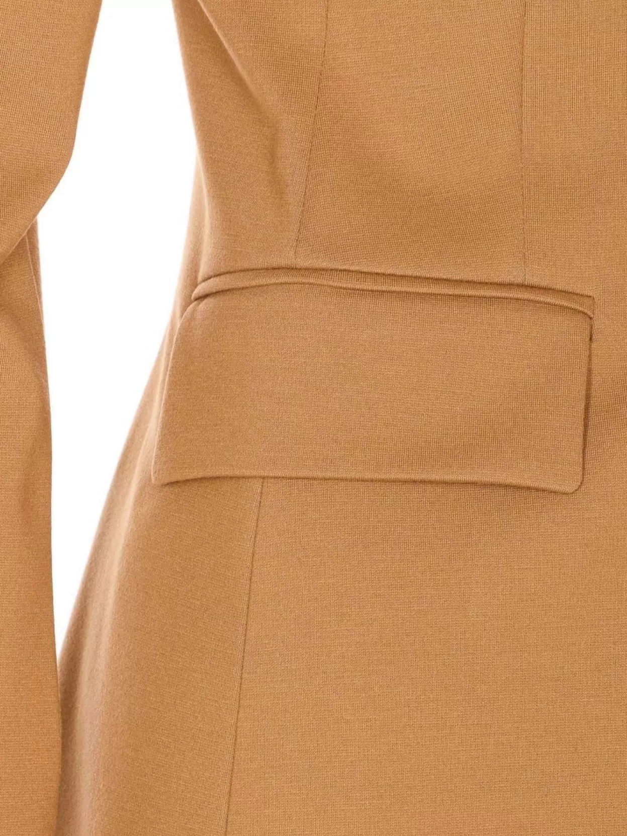 Pinko Structured Blazer With Long Sleeves And Back Vent