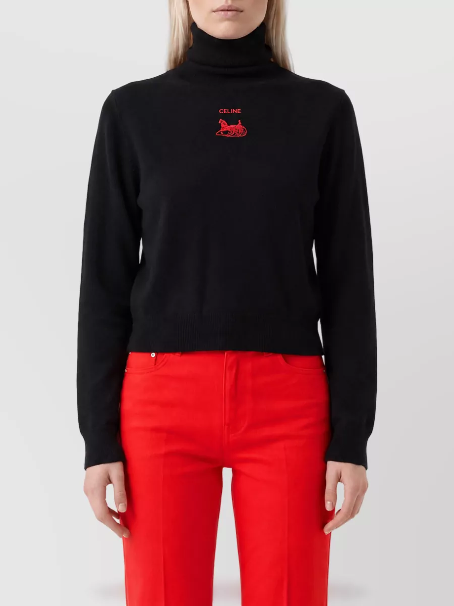 Celine Cashmere ribbed high-neck sweater