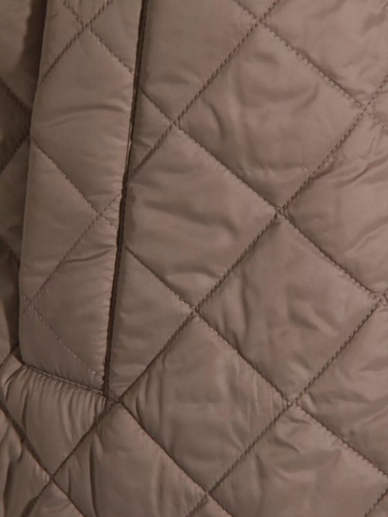 Brunello Cucinelli Modern Sleeveless Hooded Quilted Jacket In Brown