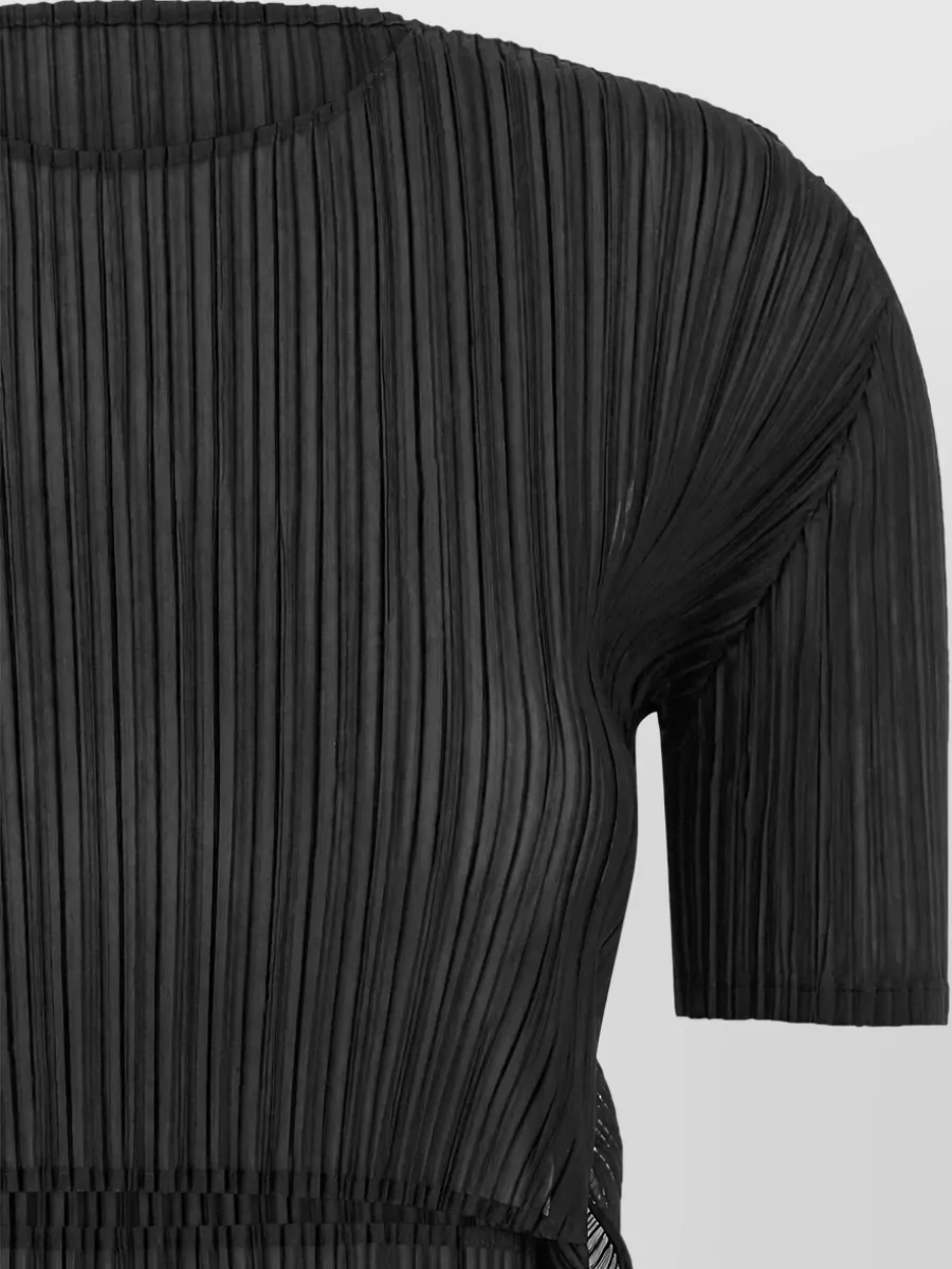 Issey Miyake Sheer Slit Pleats Pleated Short-Sleeve Top