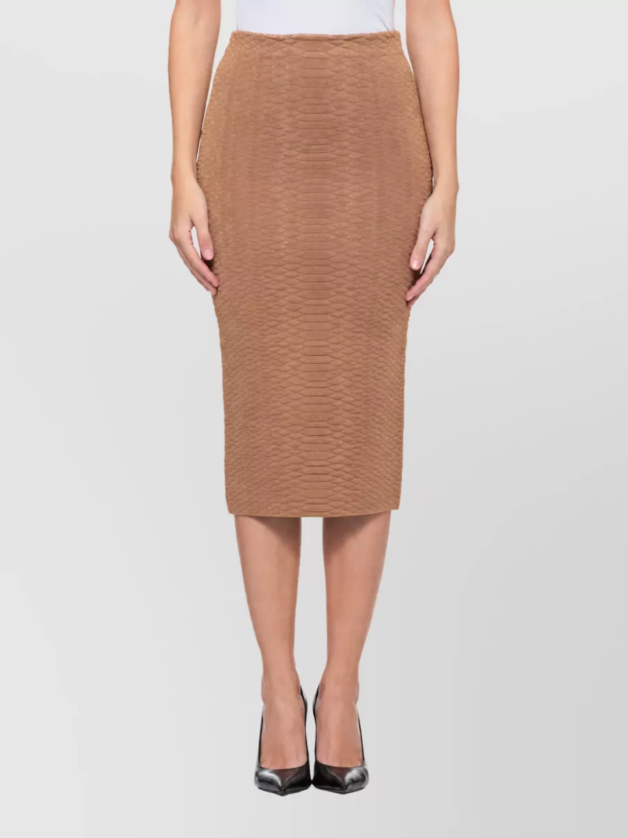 Elisabetta Franchi Snake-Print Midi Fitted Skirt