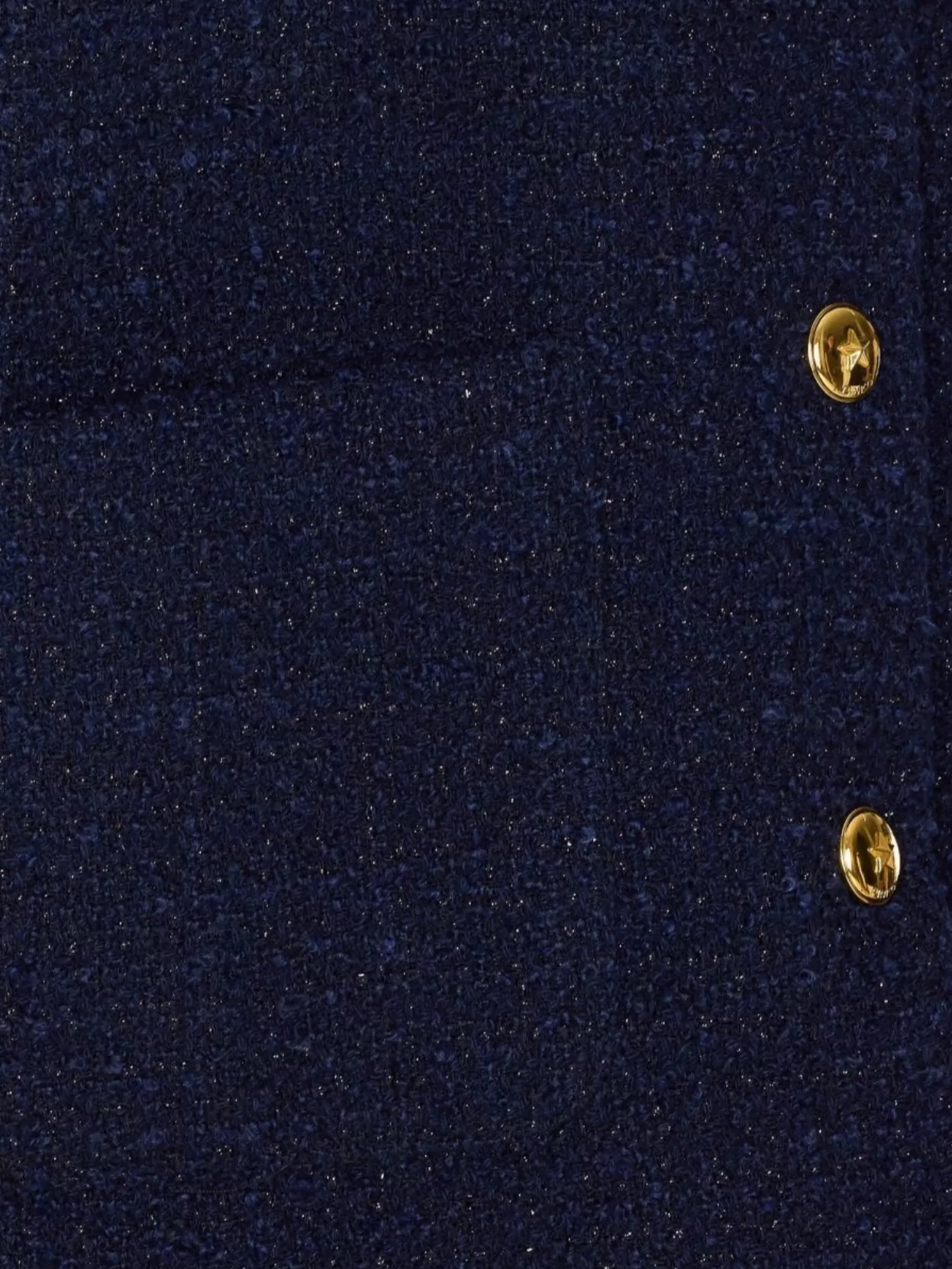 Pinko Shiny Metallic Textured Jacket With Gold Buttons