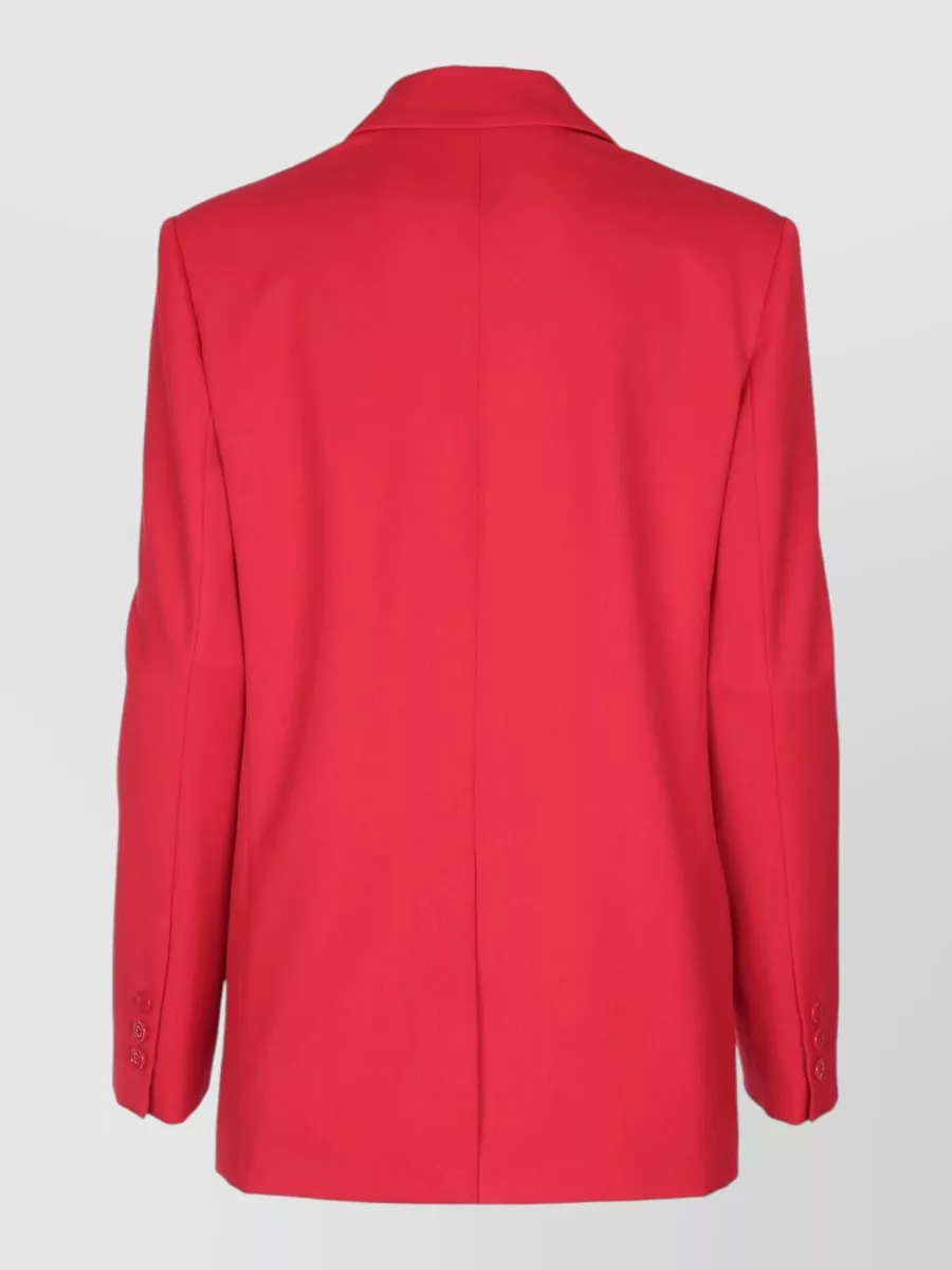 Elisabetta Franchi Blazer