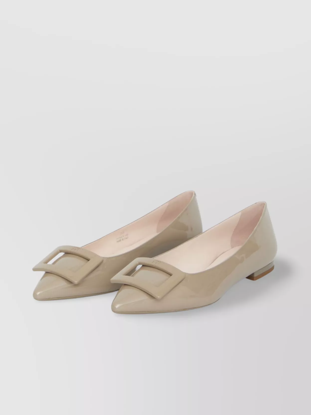 Roger Vivier Pointed Leather Ballerinas Rubber Sole