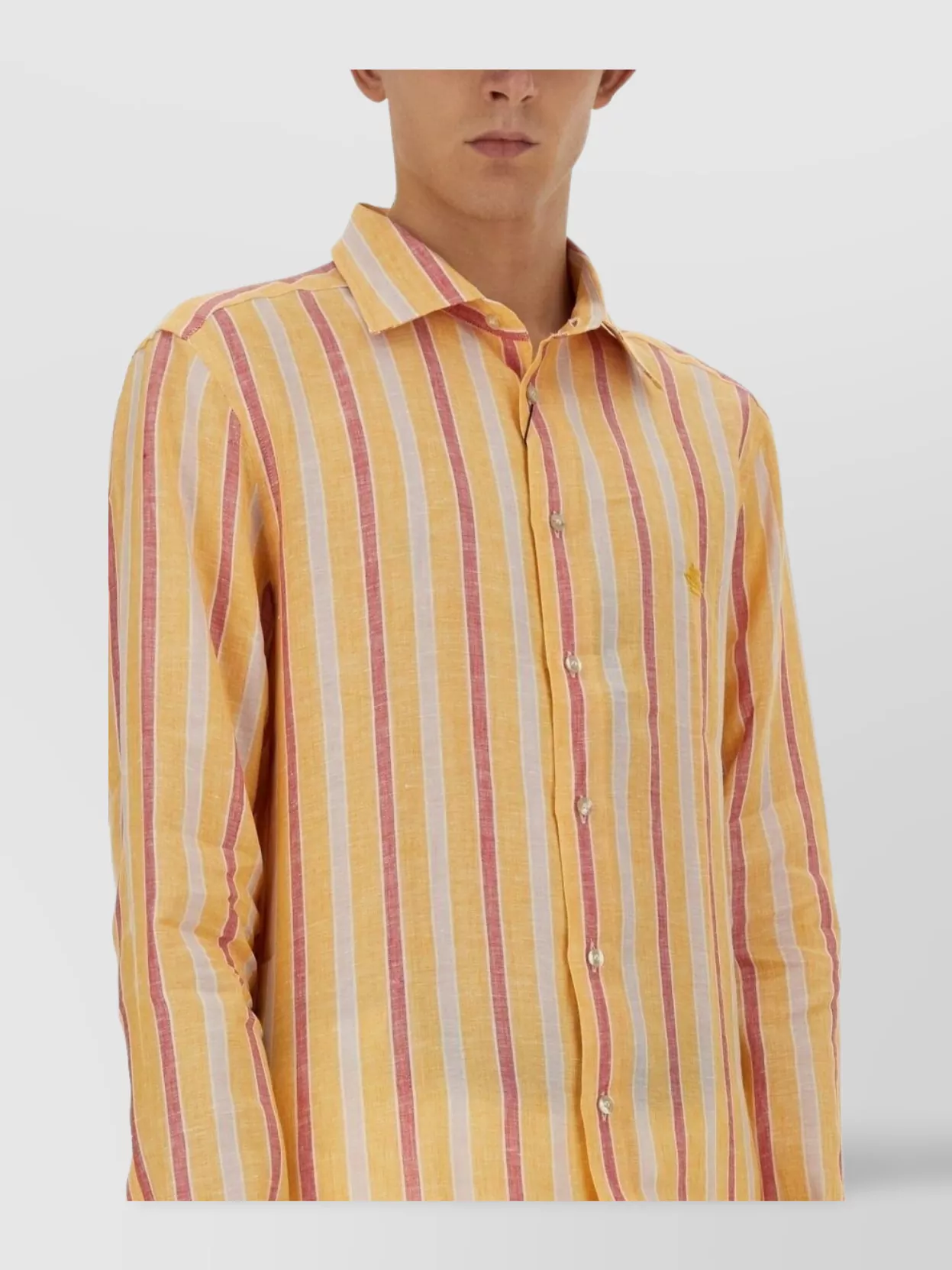 Etro Striped Pegasus Shirt Featuring Button-Down Collar