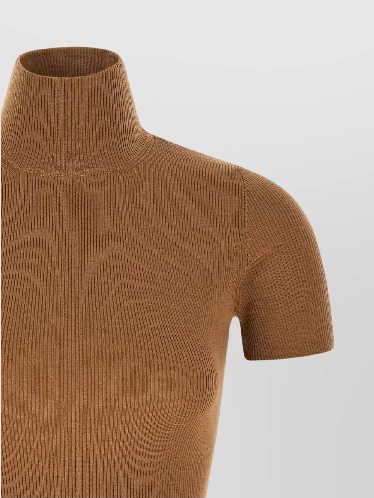 Max Mara Turtleneck Sweater Short Sleeves