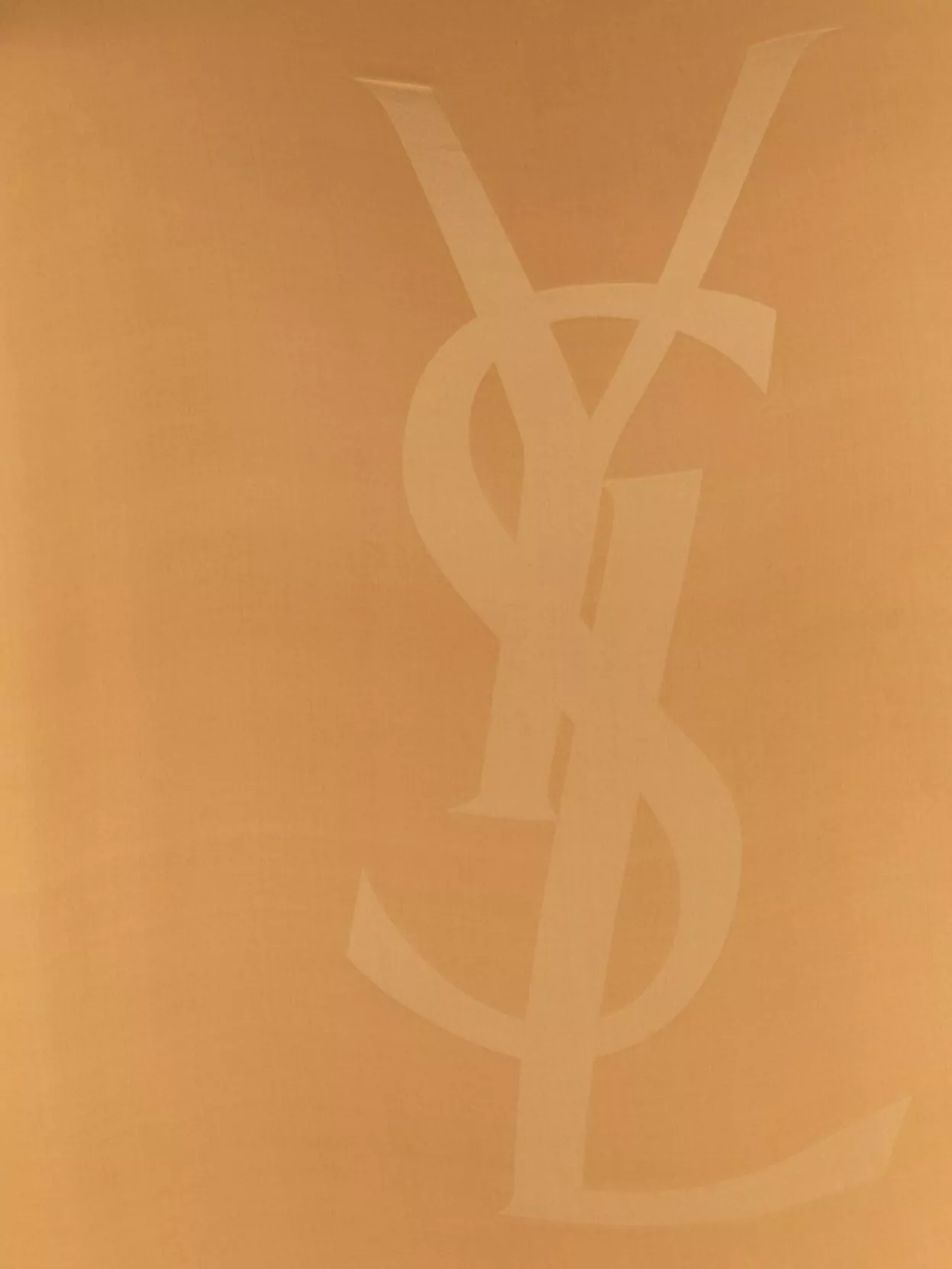 Saint Laurent Cassandre Scarf Scarves And Foulards Beige In Brown