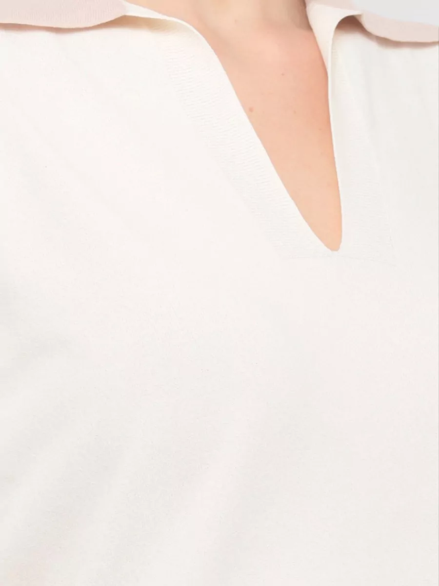 D.exterior Short-Sleeve V-Neck Polo Shirt