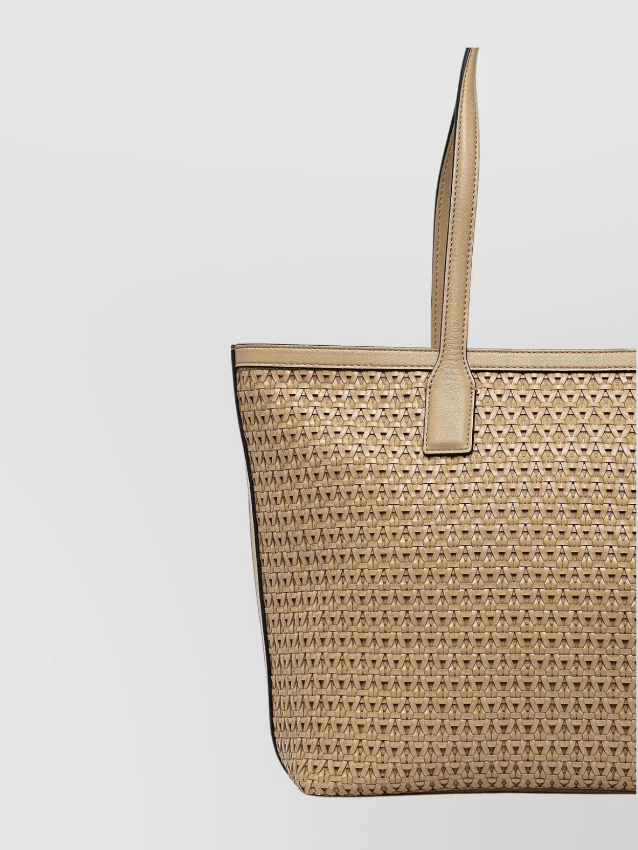 Twin-Set Versatile Tote Bag Dual Handles