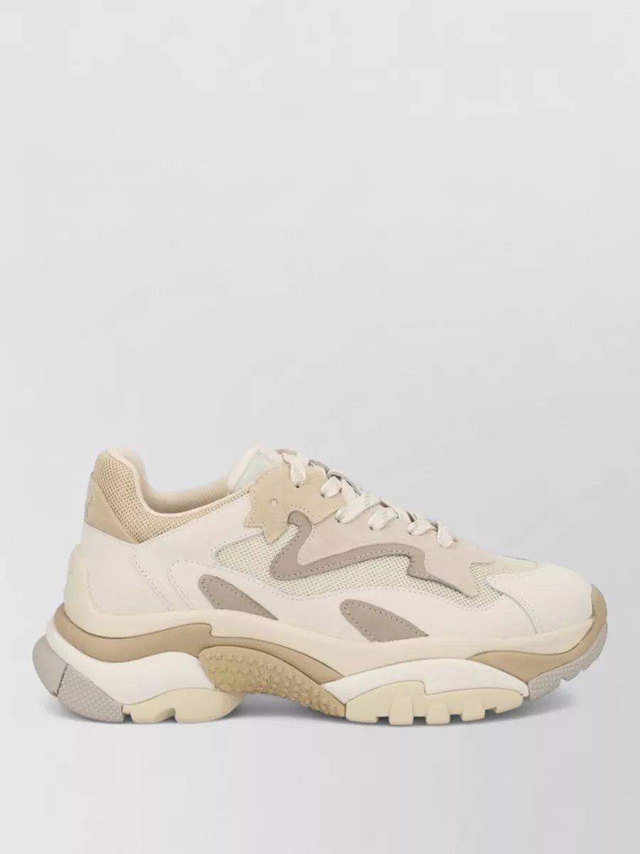 Ash Leather Low-Top Sneakers