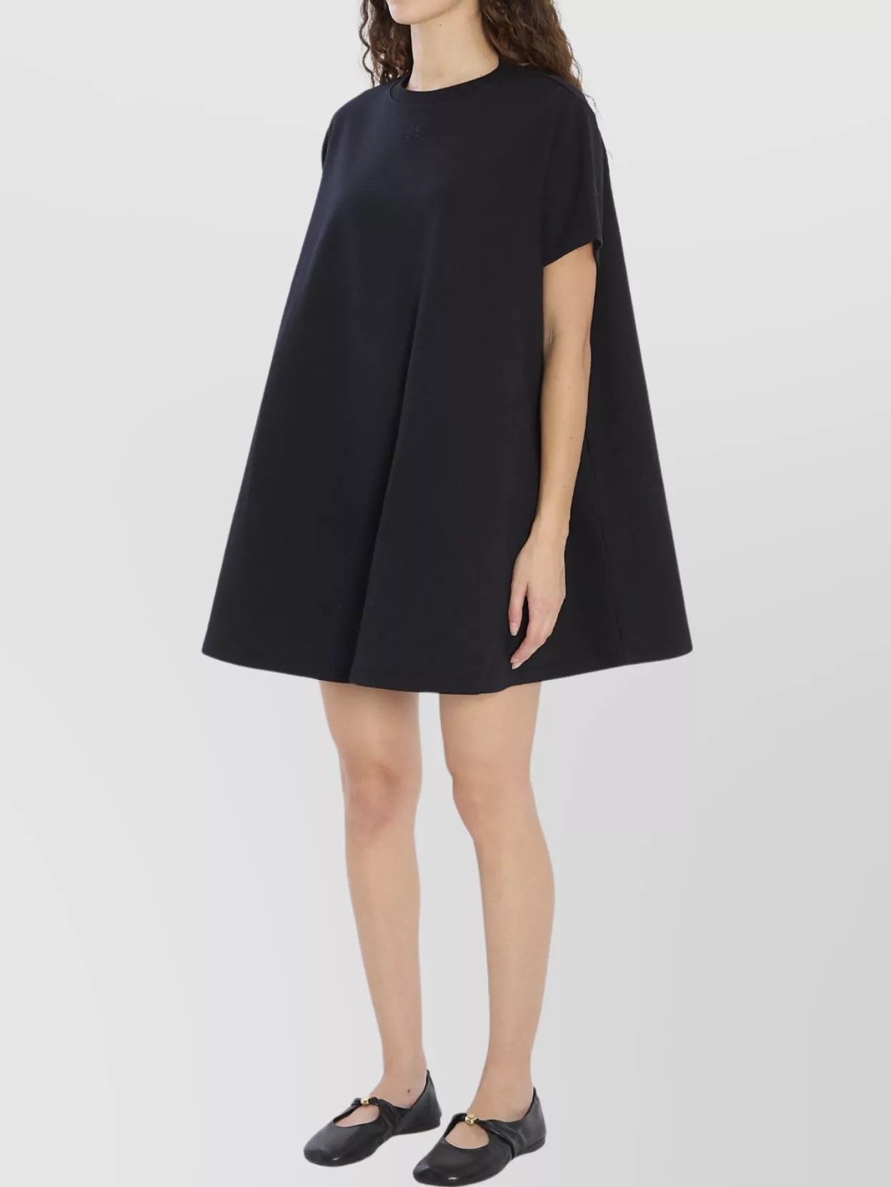 Loewe Embroidery Appliqué A-Line Dress