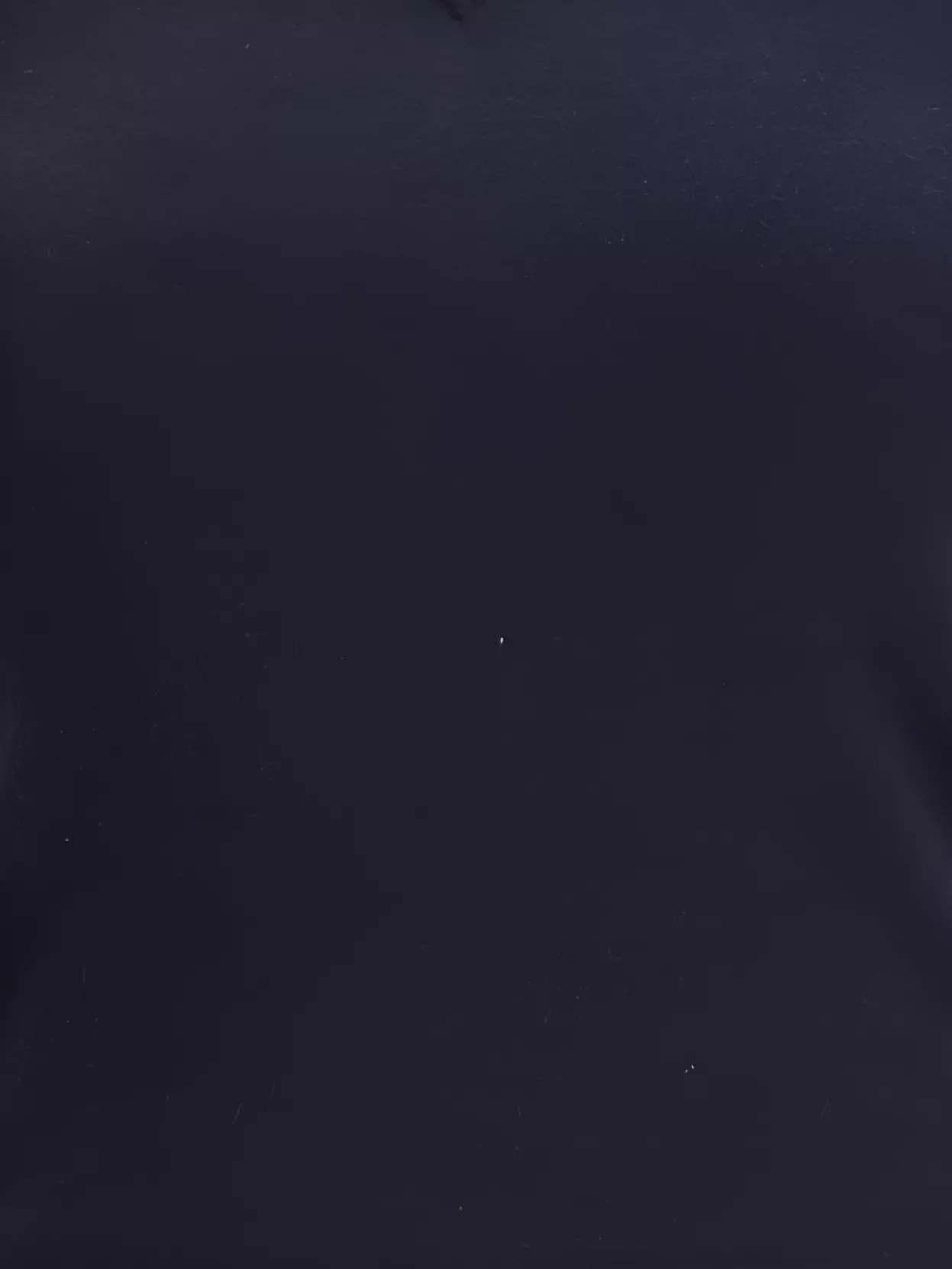 Extreme Cashmere Soft Cashmere Cotton Knit T-Shirt