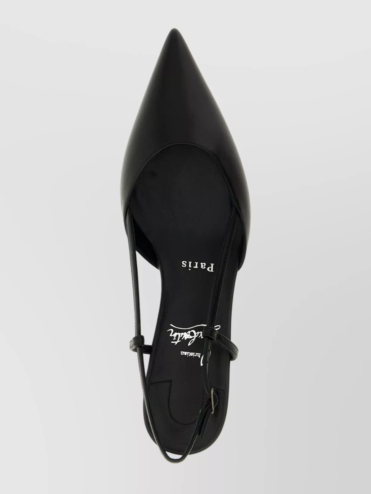 Christian Louboutin Slingback Pumps With Pointed Toe Design