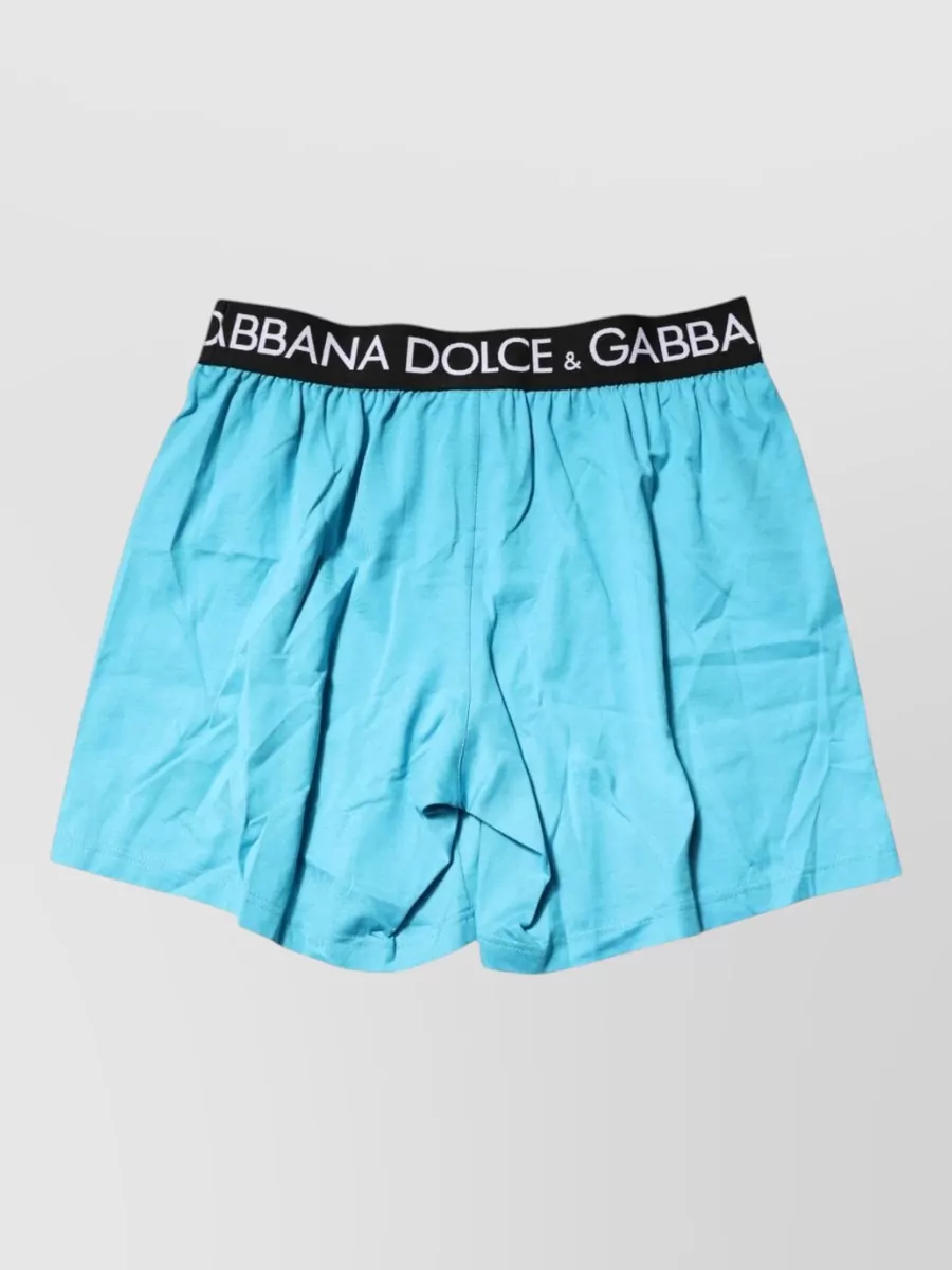 Dolce&Gabbana Logo Waist Regular Boxer Shorts