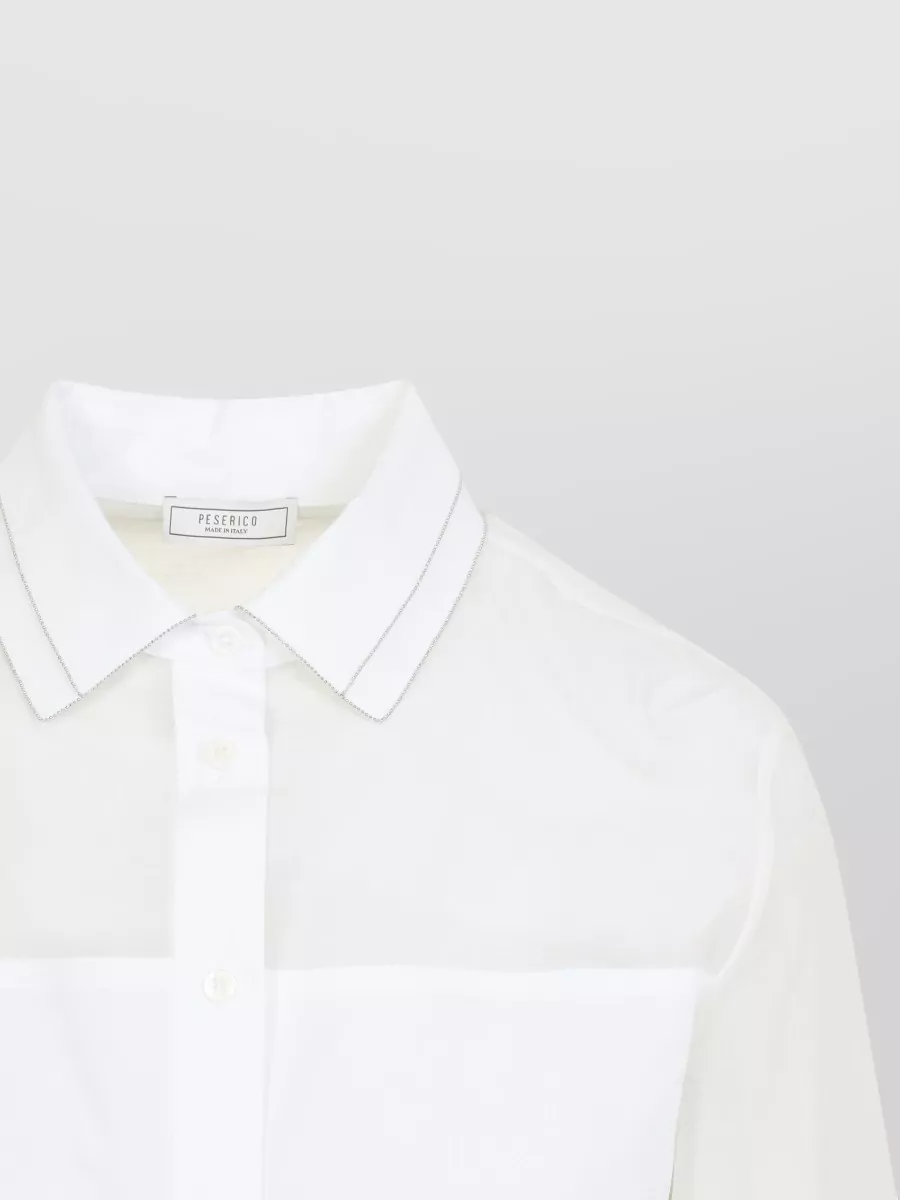 Peserico Organza Shirt Collared Neck Long Sleeves Sheer