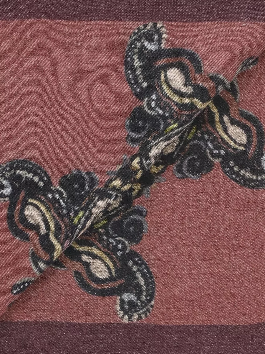 Etro Printed Wool Cashmere Silk Square Scarf