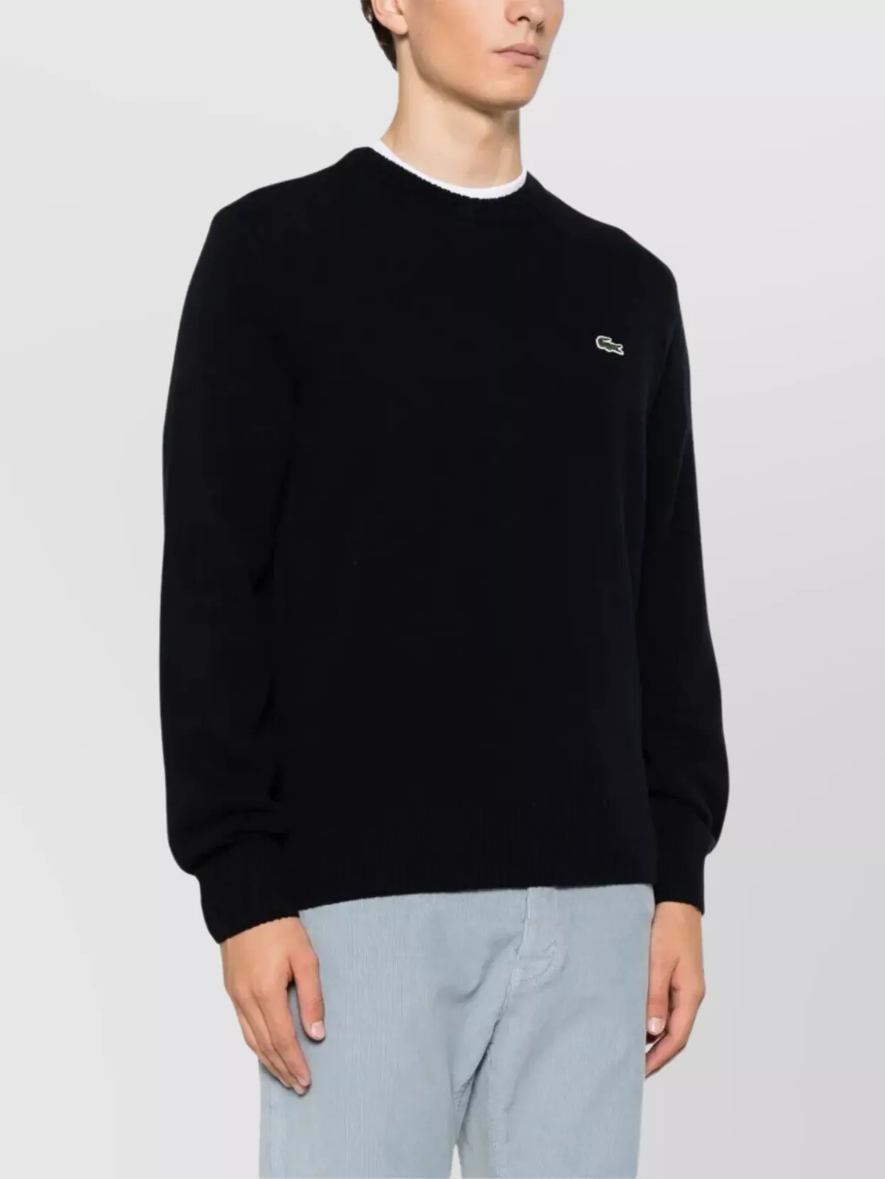 Lacoste Wool Crew Neck Sweater