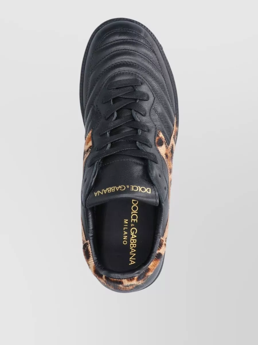 Dolce&Gabbana Low Top