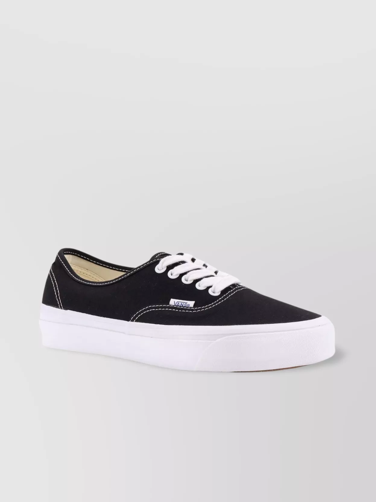Vans Canvas Low Top Sneakers