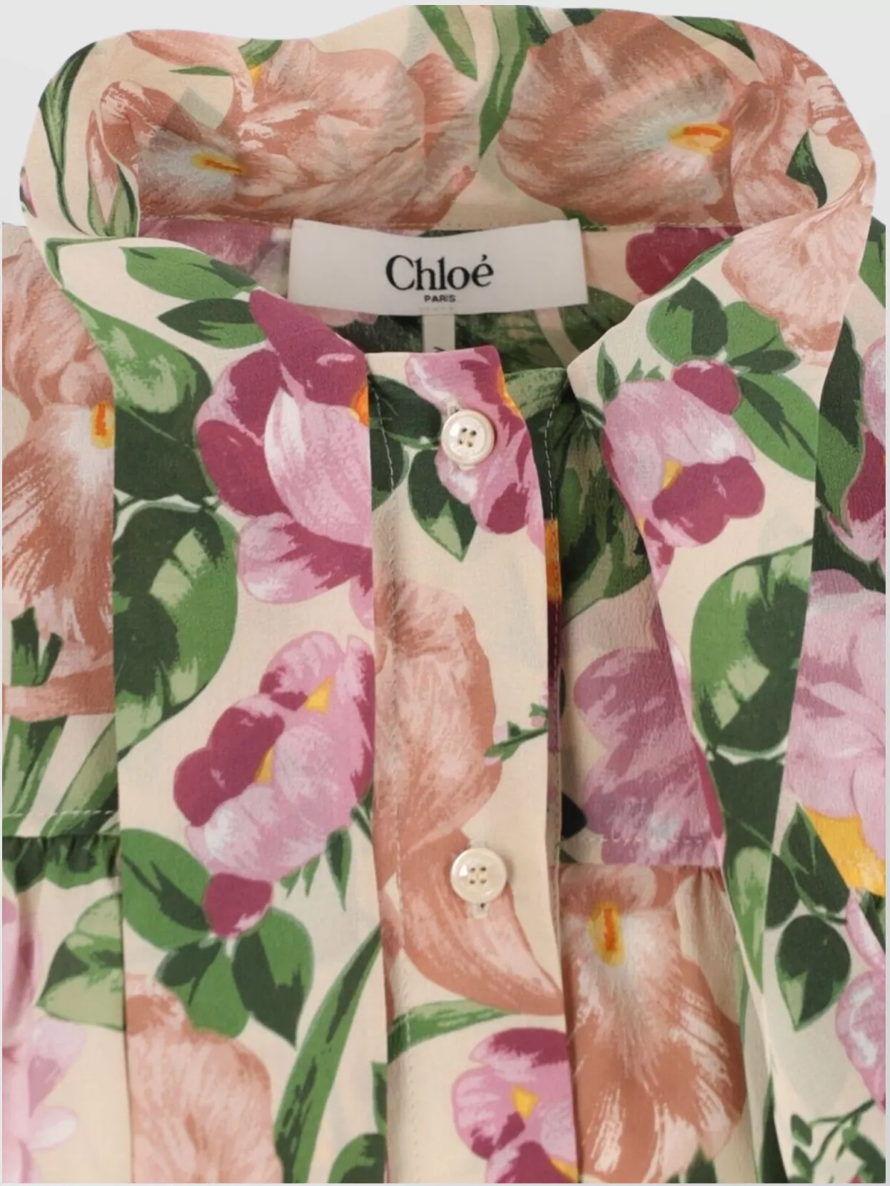 Chloé Floral High Neck Pleated Long Sleeve Top