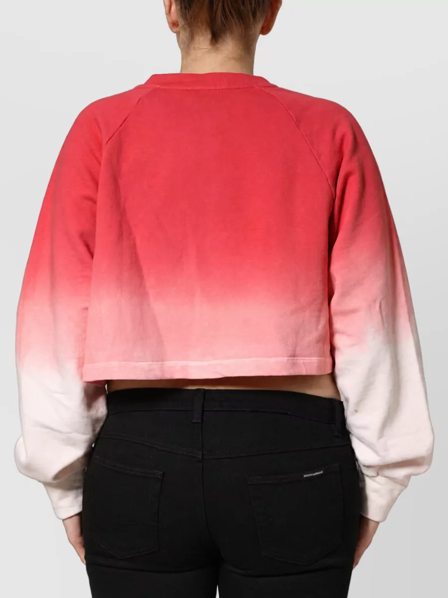 Dolce&Gabbana Strawberry Print Sweatshirt