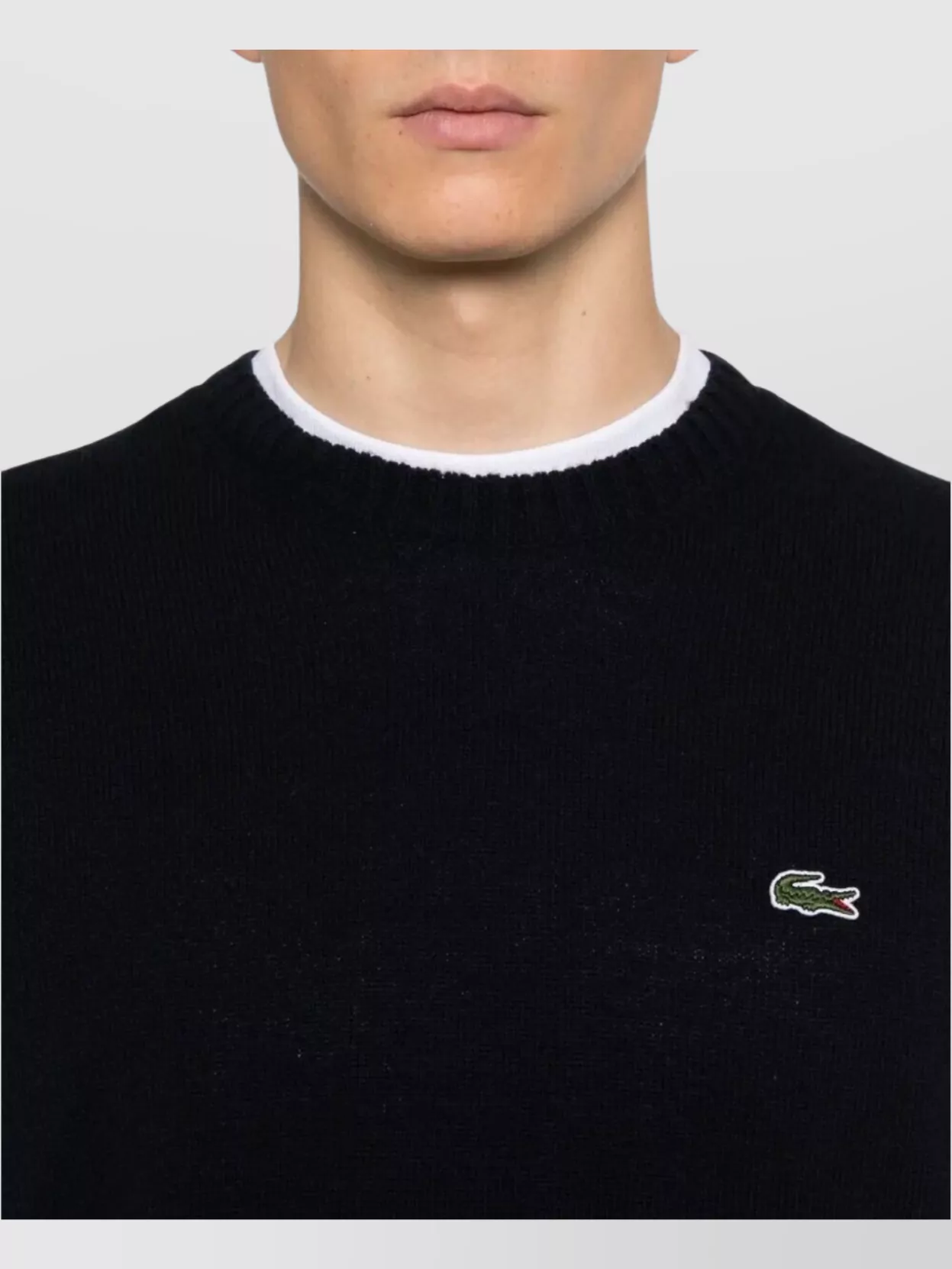 Lacoste Wool Crew Neck Sweater