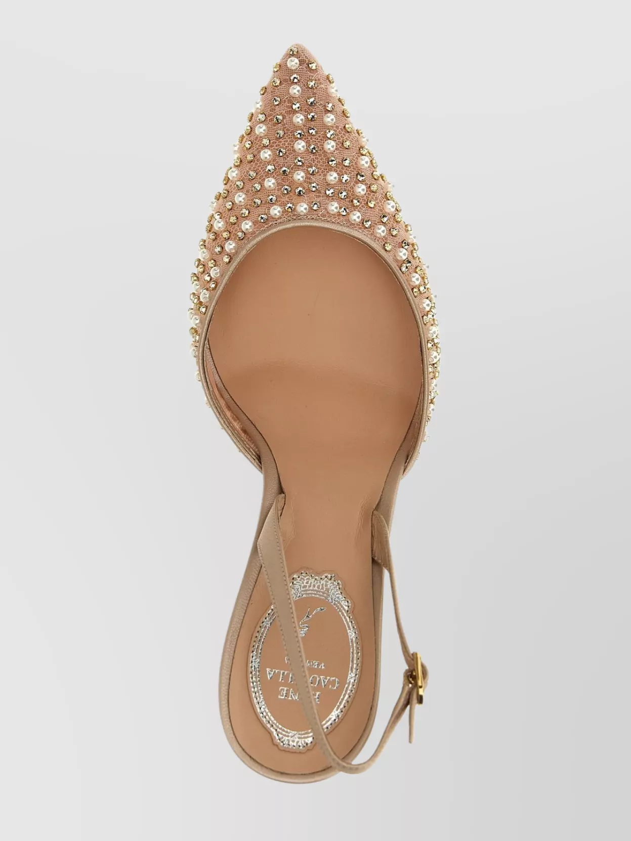 Rene Caovilla 'Aretha' Embellished Slingback Stiletto Pumps