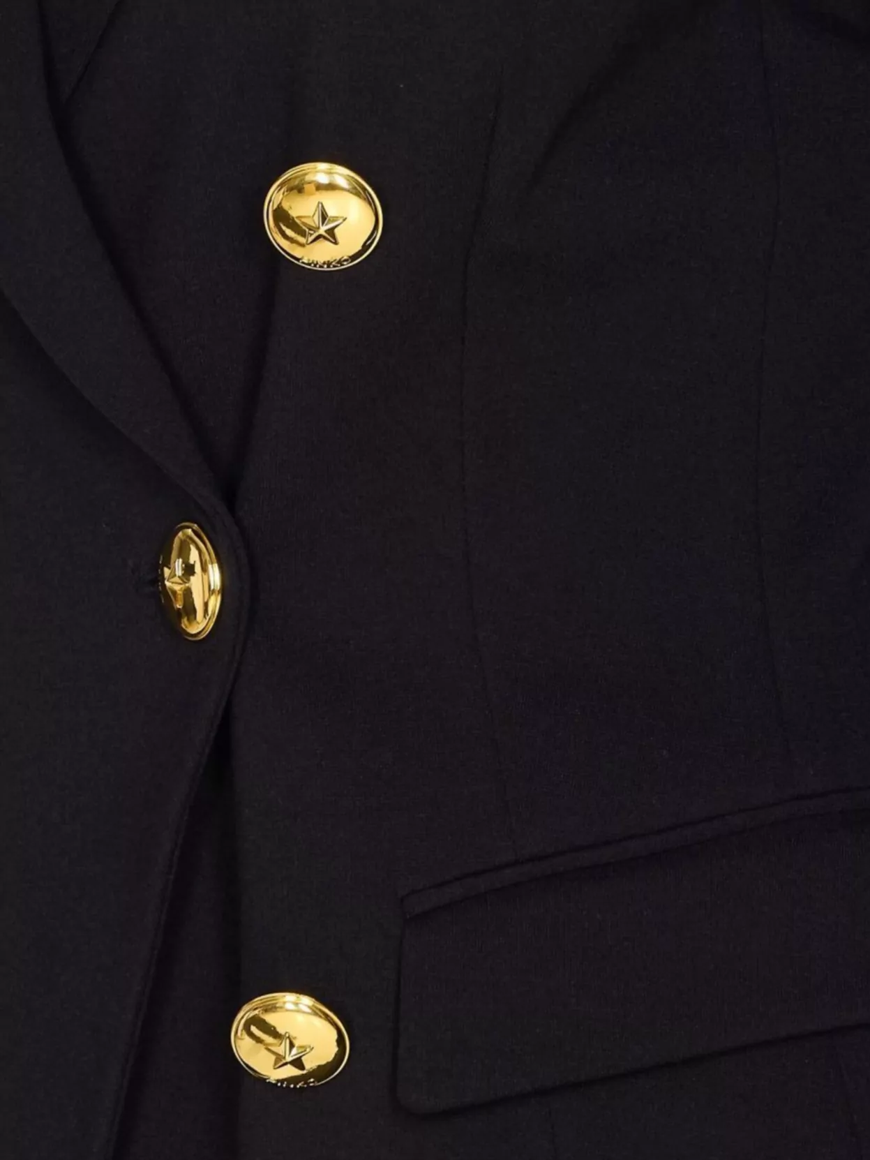 Pinko Double-Breasted Flap Pockets Jacket