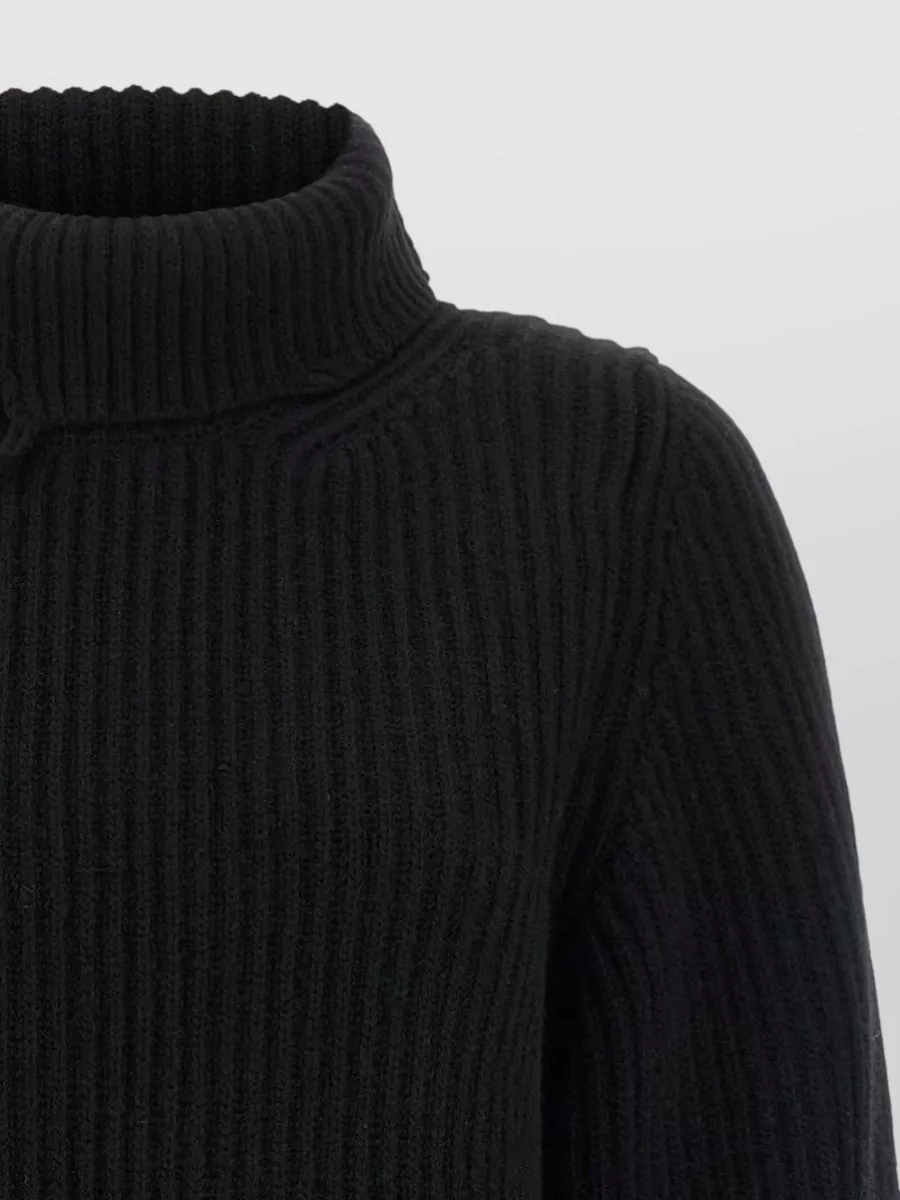 Haikure Merino Wool Ribbed Cropped Turtleneck Sweater