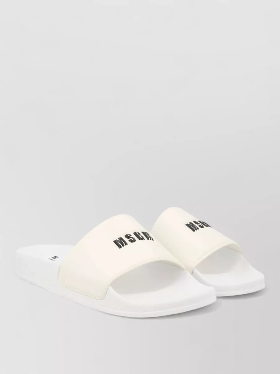 Msgm Logo Slides