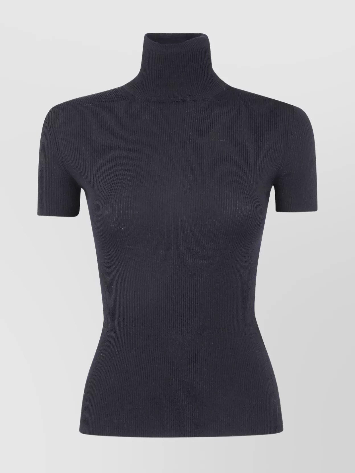 Max Mara Ribbed Turtleneck Short Sleeve Top