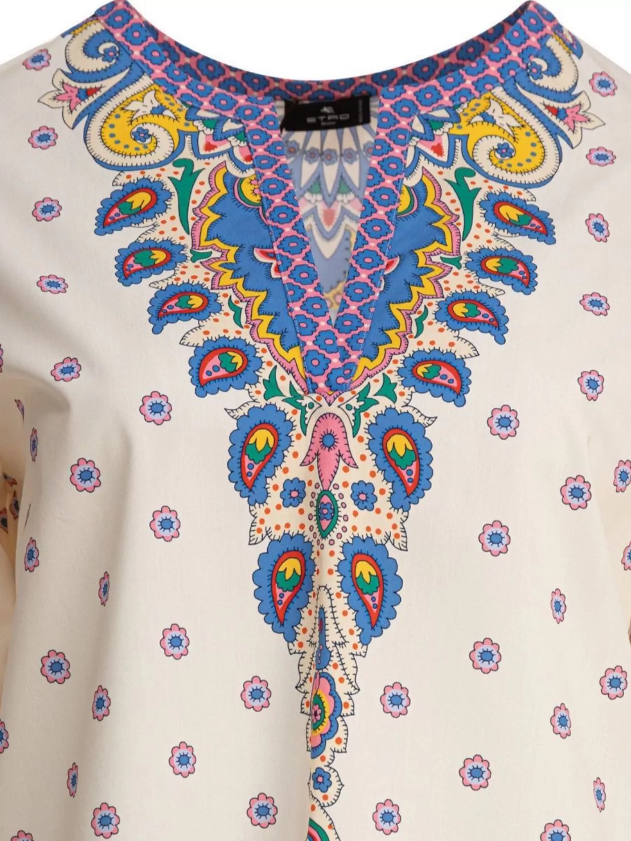 Etro Printed Paisley V-neck Knitwear