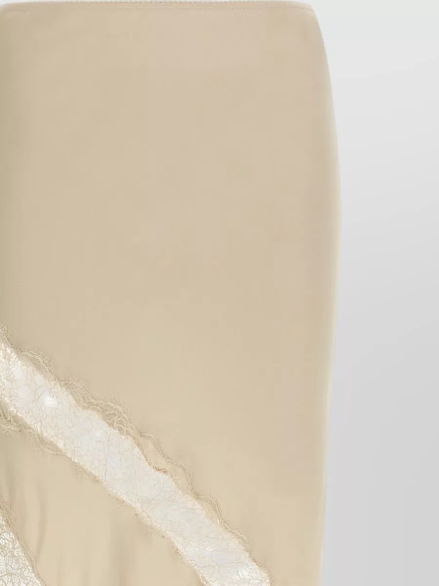 The Andamane Rosetta Skirt Asymmetric Hem Sheer Lace Trim