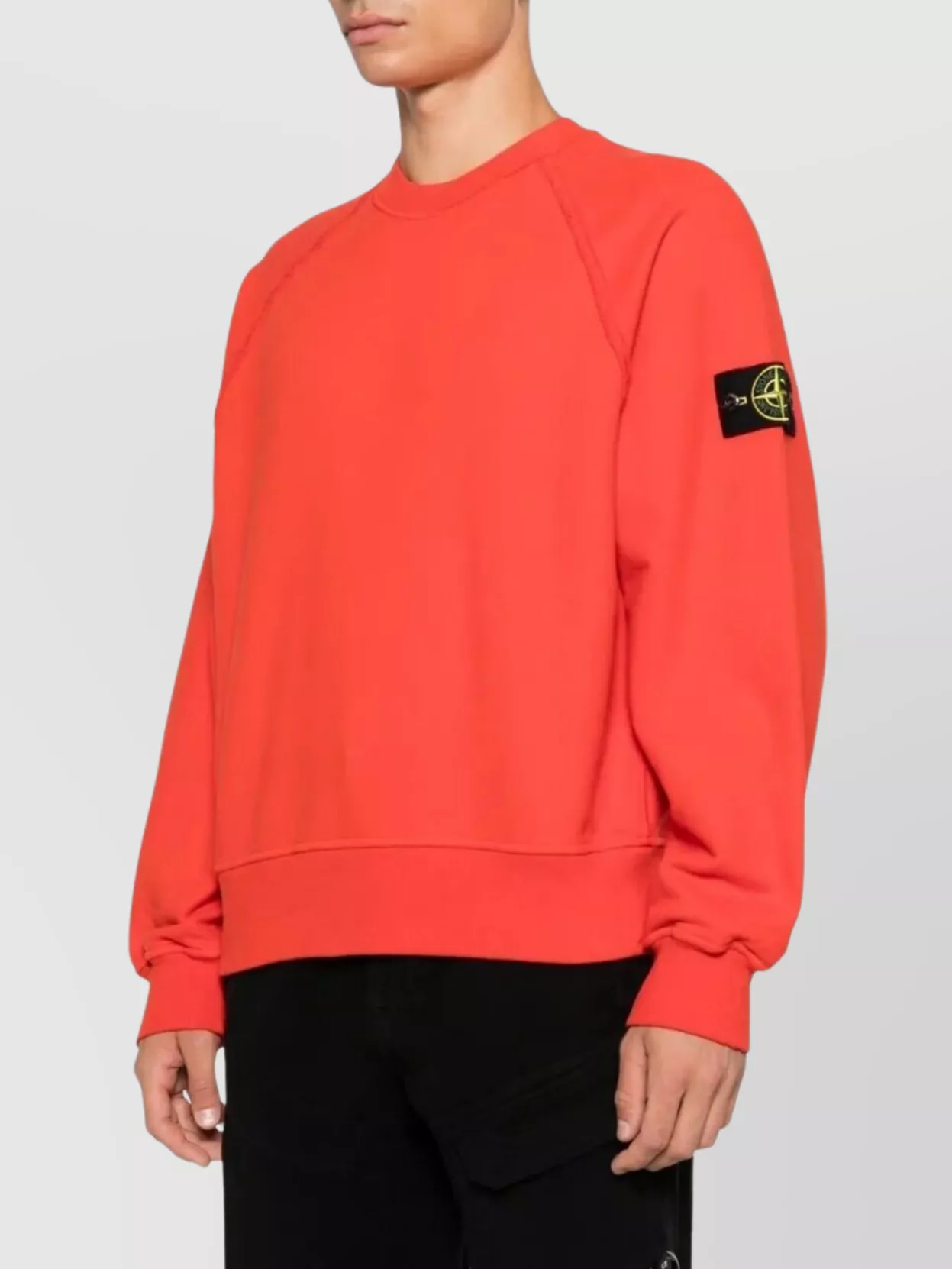Stone Island Relaxed Crewneck Sweatshirt In Organic Cotton