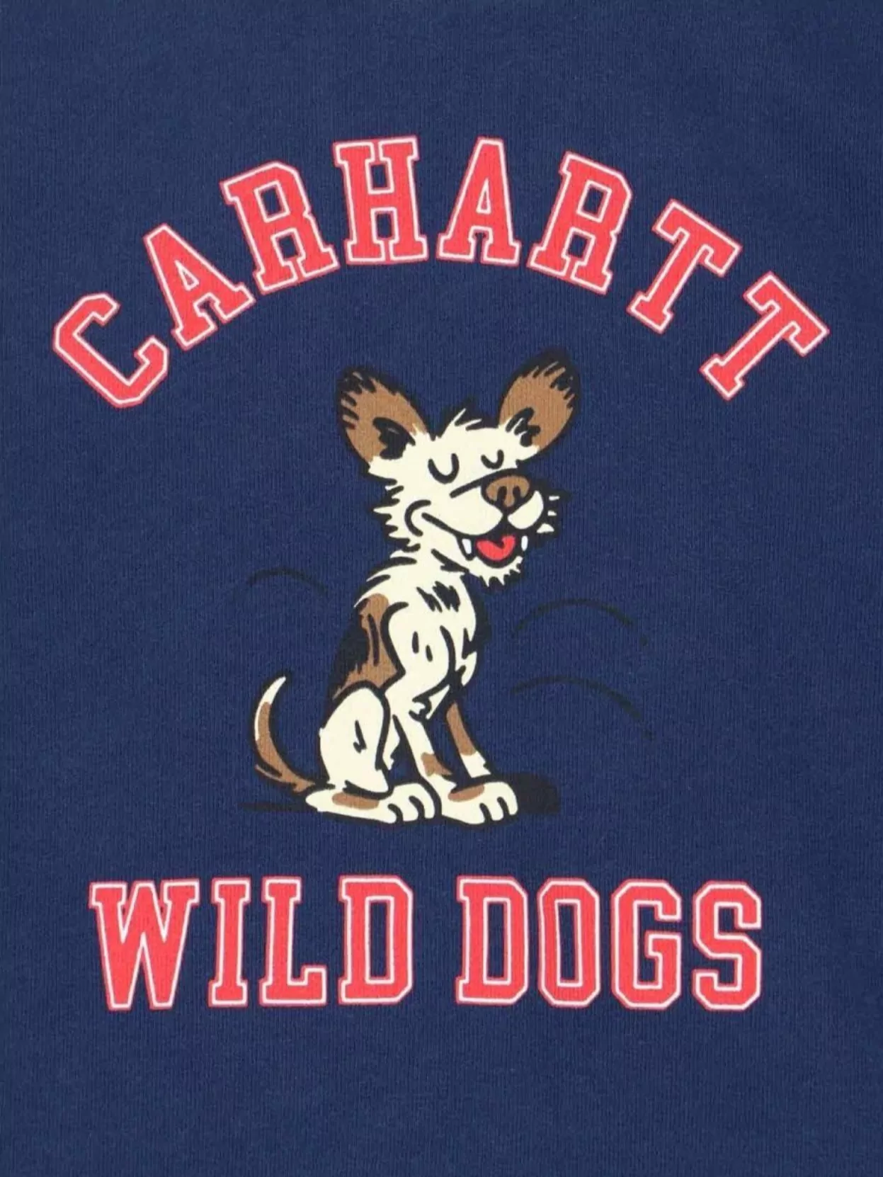 Carhartt Wip Graphic Hooded Sweatshirt Kangaroo Pocket