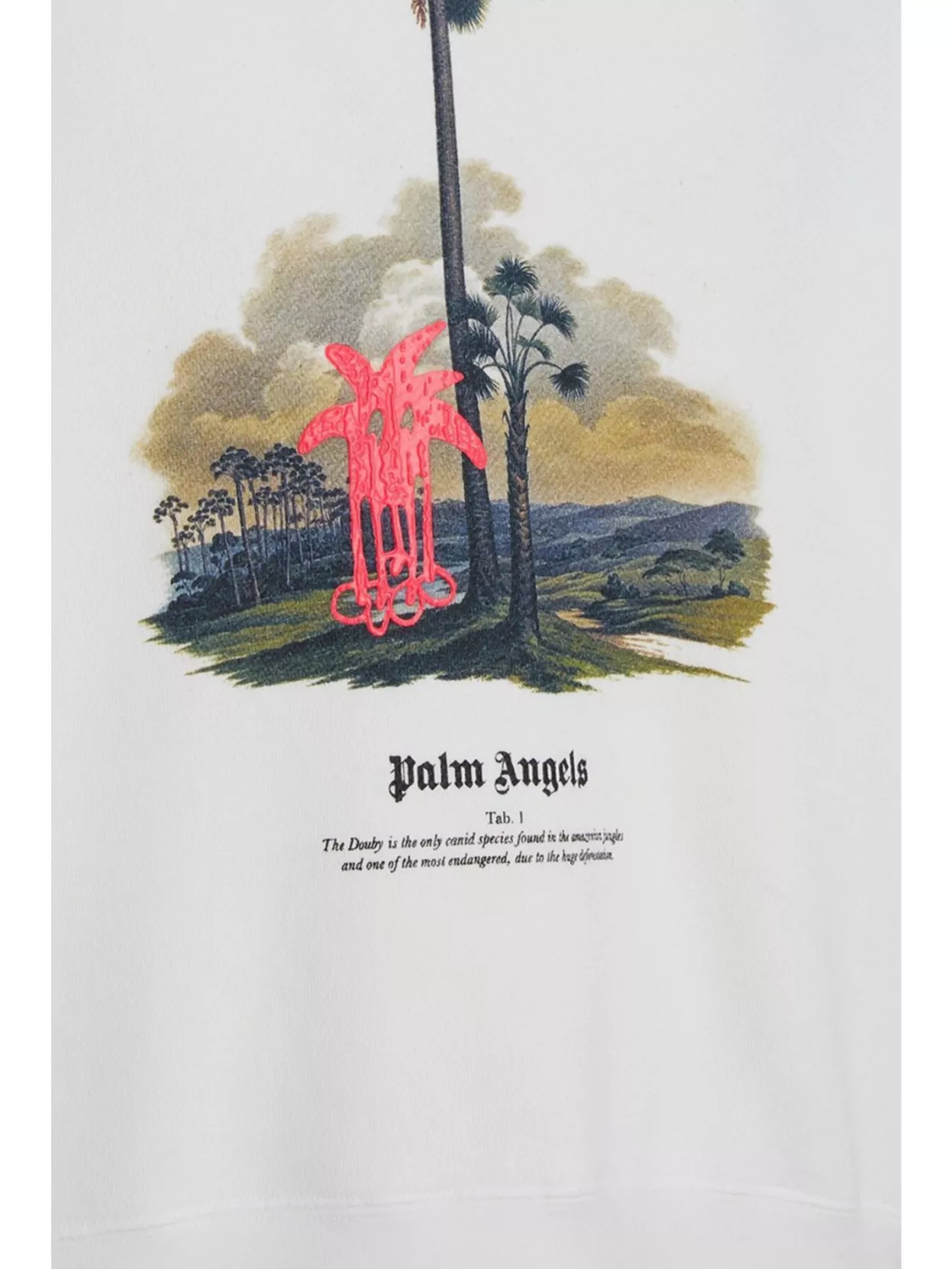 Palm Angels Graphic Print Hooded Sweater