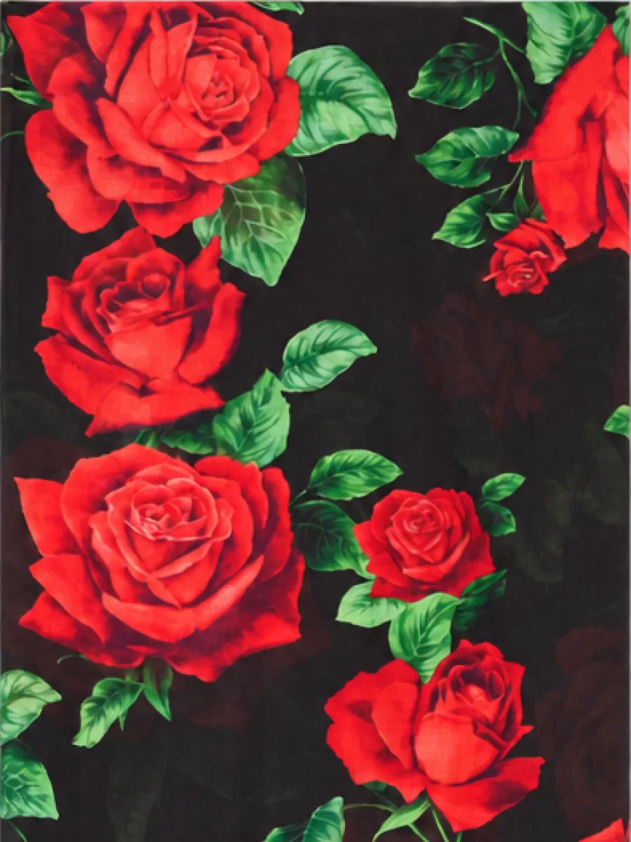 Dolce&Gabbana cashmere-blend floral-print fringed stole