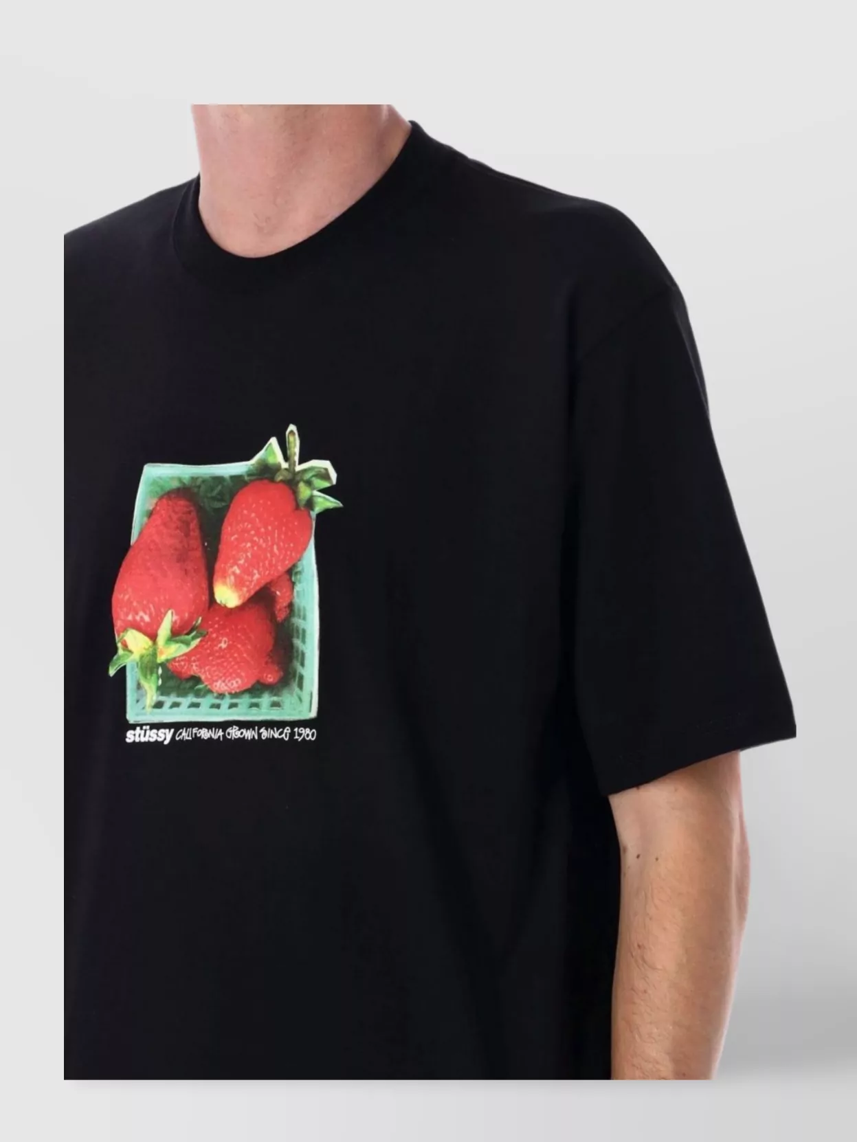 Stüssy Graphic Print Crew Neck Short Sleeve T-Shirt