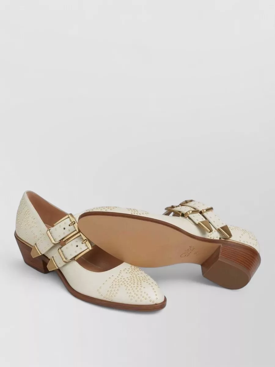 Chloé Leather Ballerina Shoes