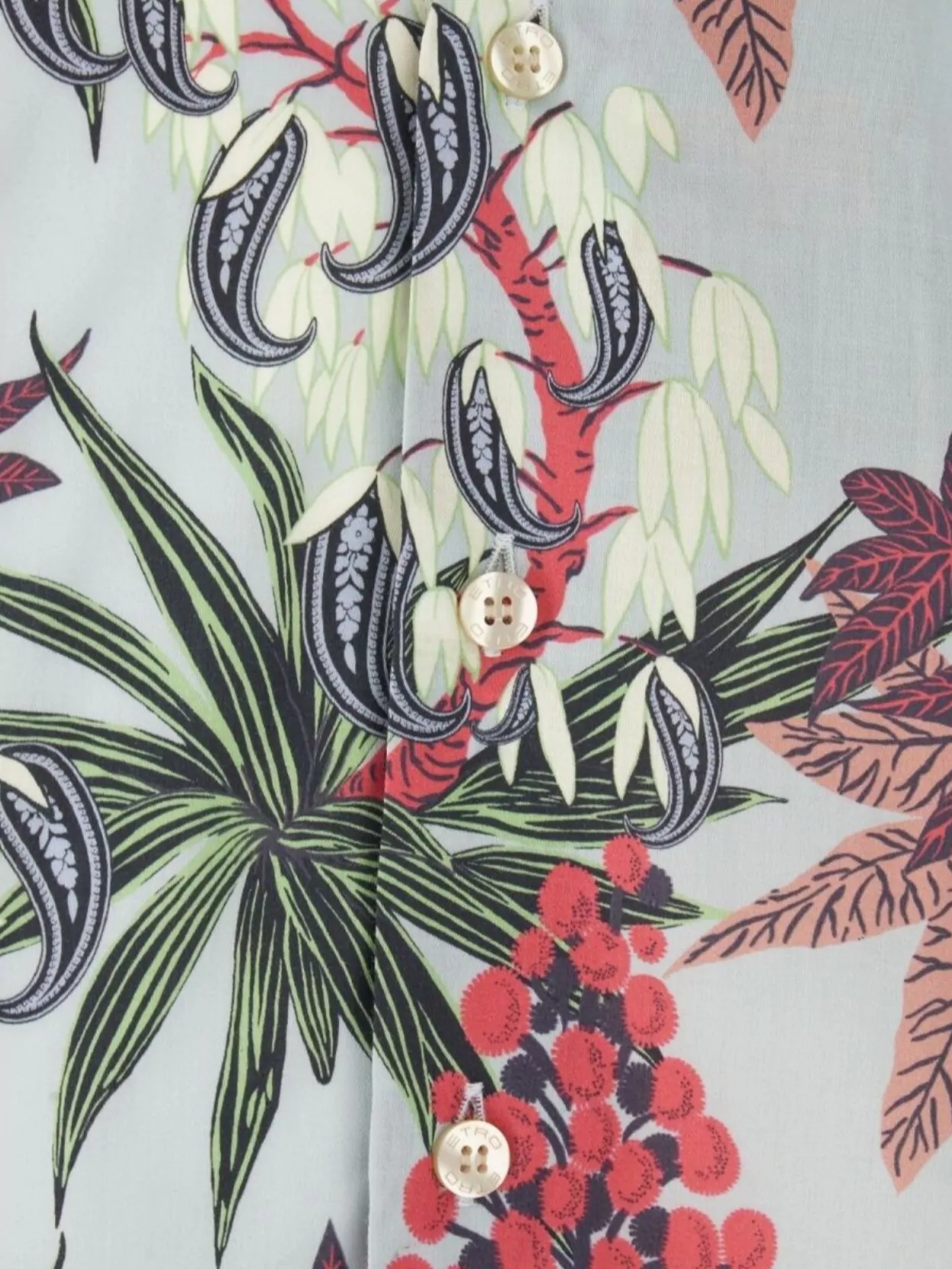 Etro Floral Print Cotton Poplin Shirt