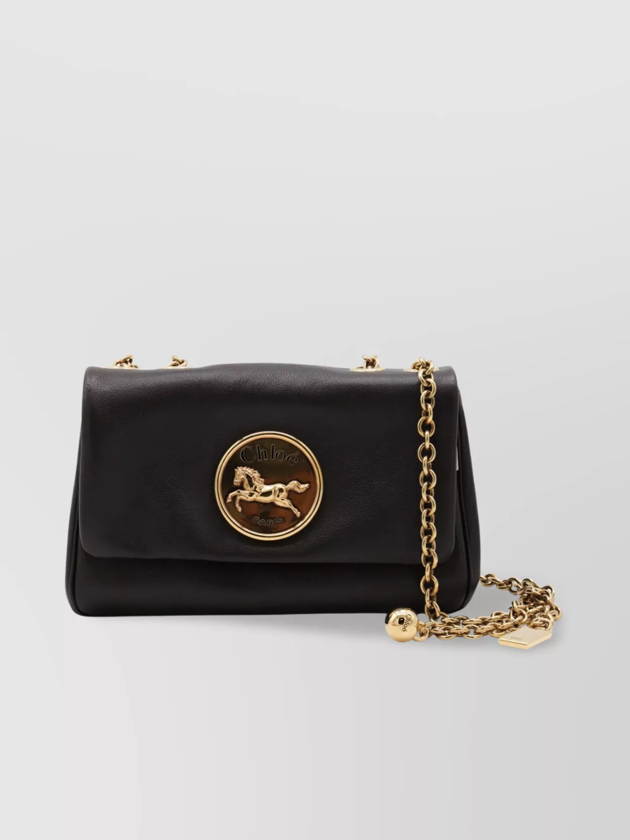 Chloé Chain Strap Shoulder Bag With Gold-Tone Hardware